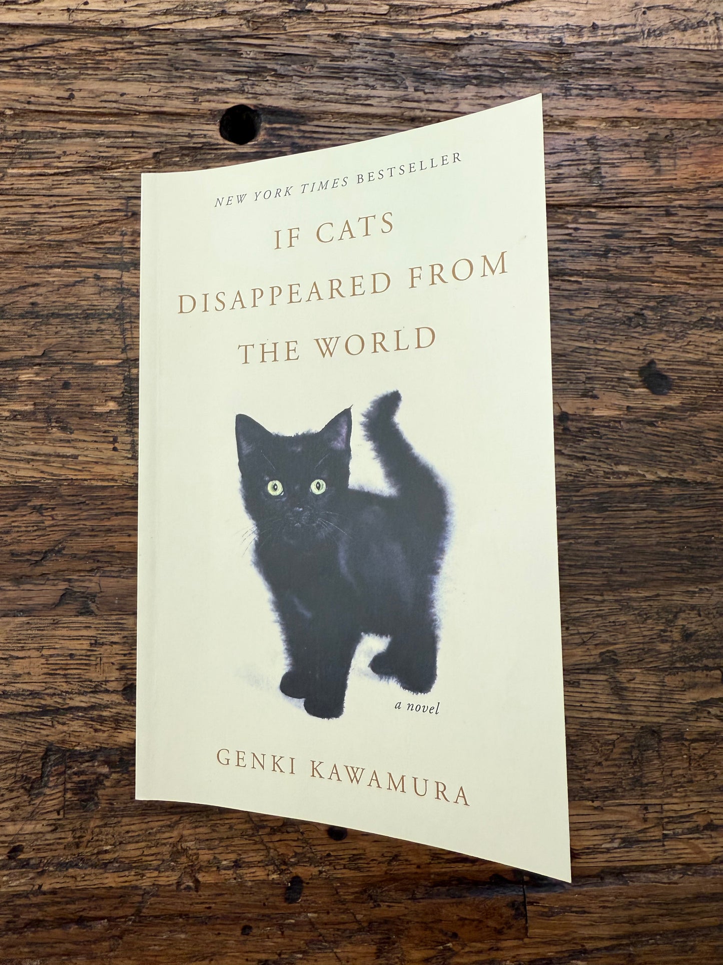 Used - If Cats Disappear From The World