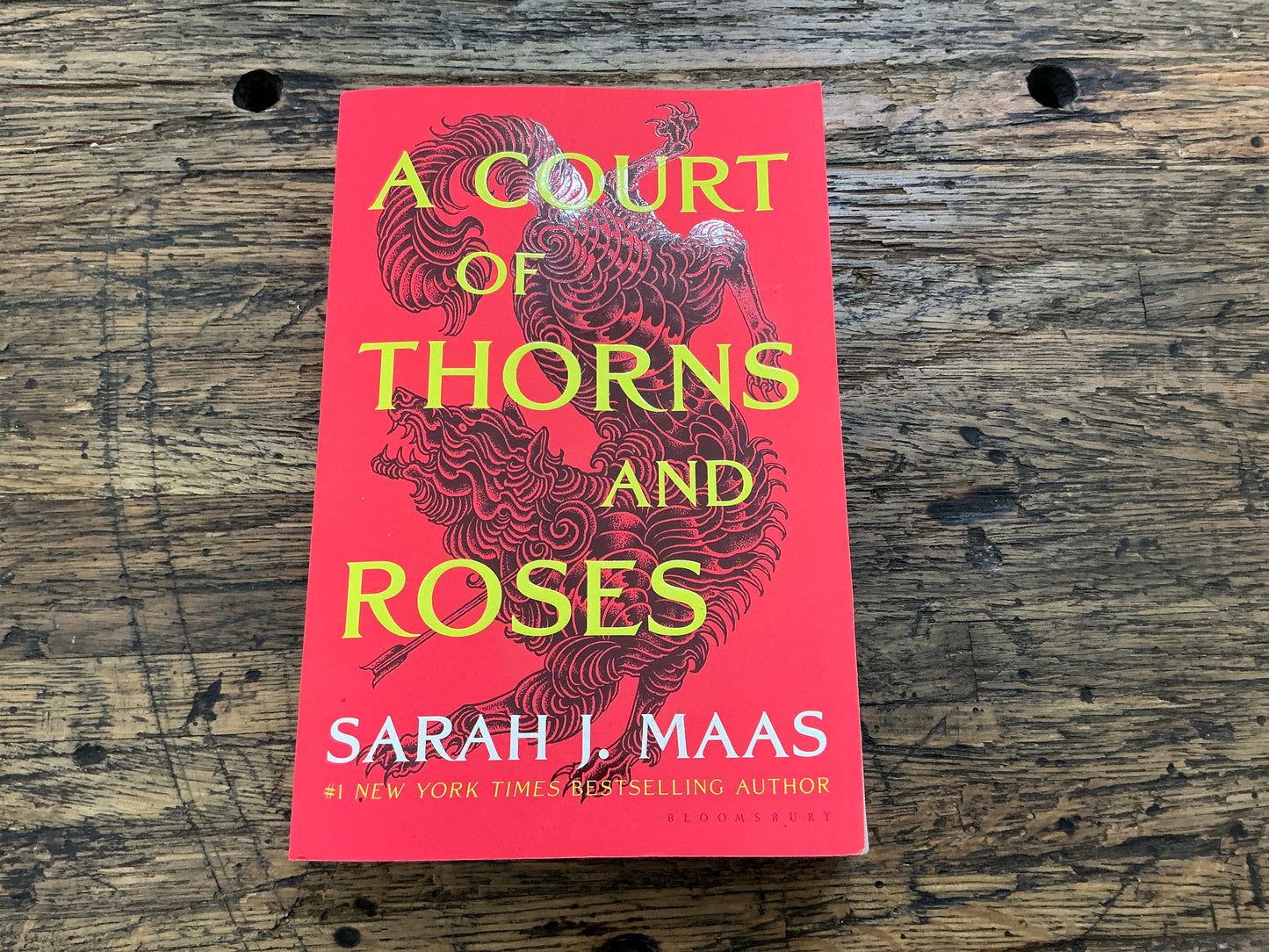 A Court of Thorns and Roses - Used
