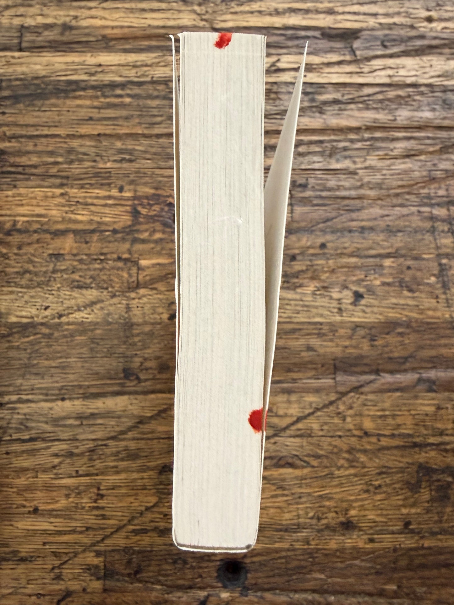 Remainder - The Bookish Life of Nina Hill