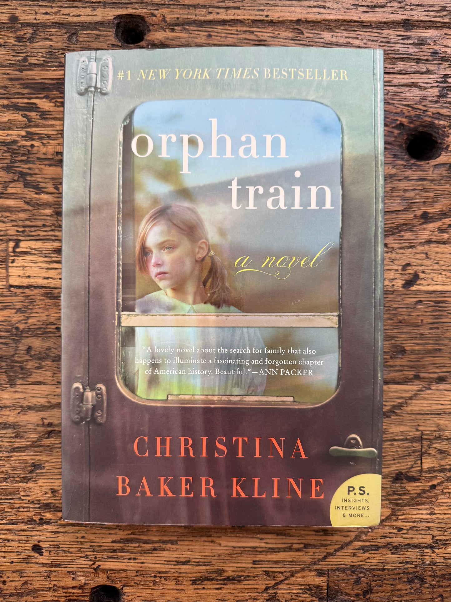 Orphan Train -used