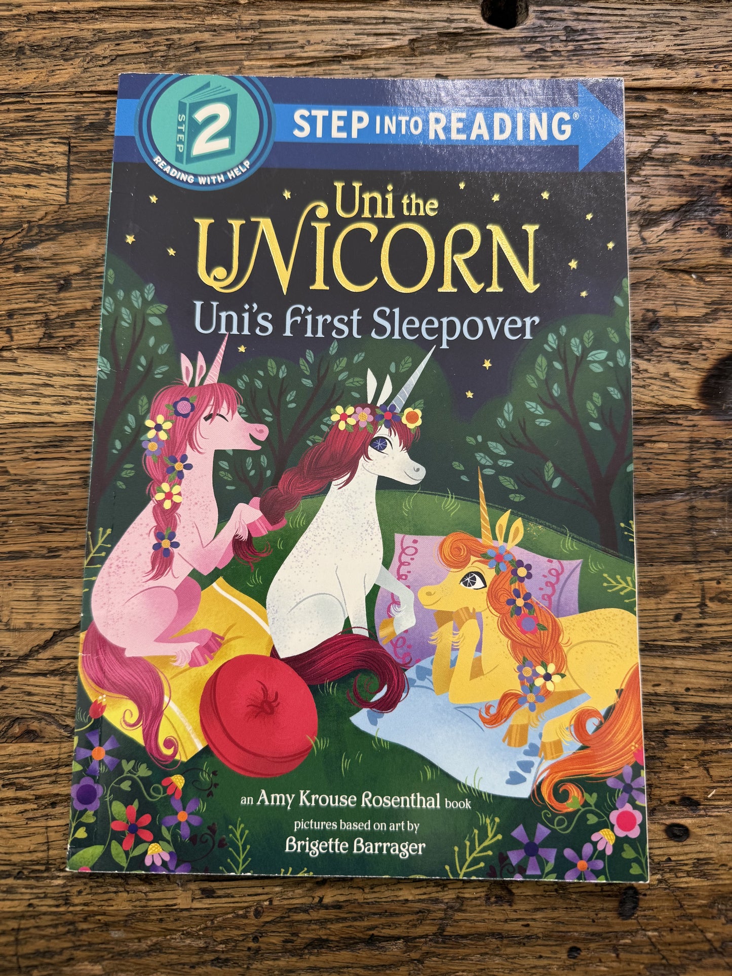 Uni the Unicorn Uni’s first sleepover -FR,used