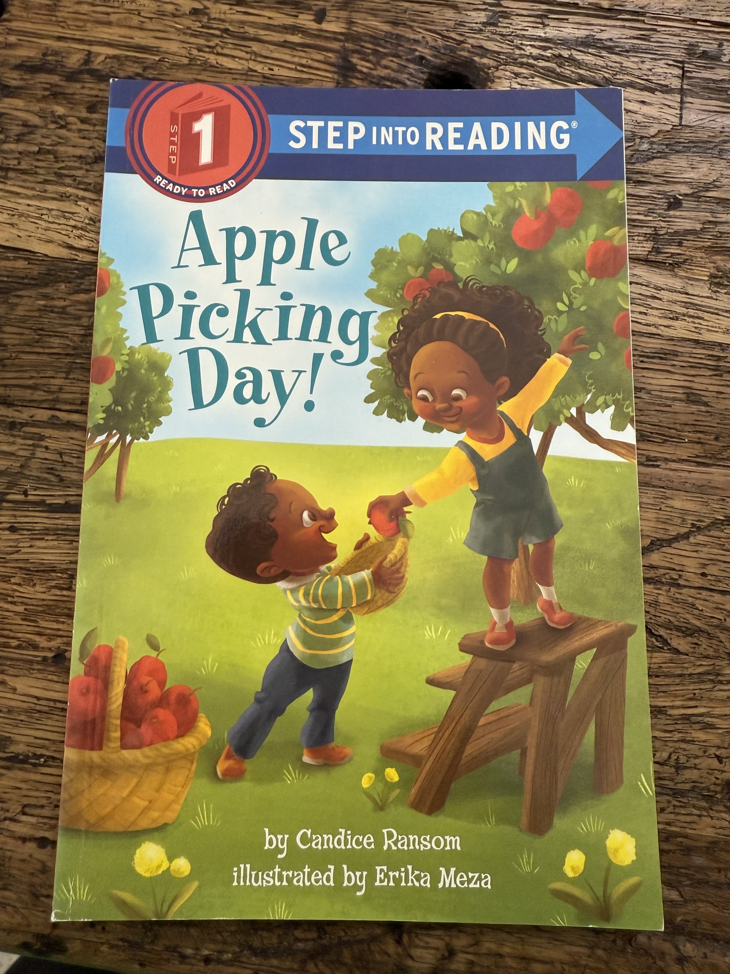 Apple Picking Day! -FR,used