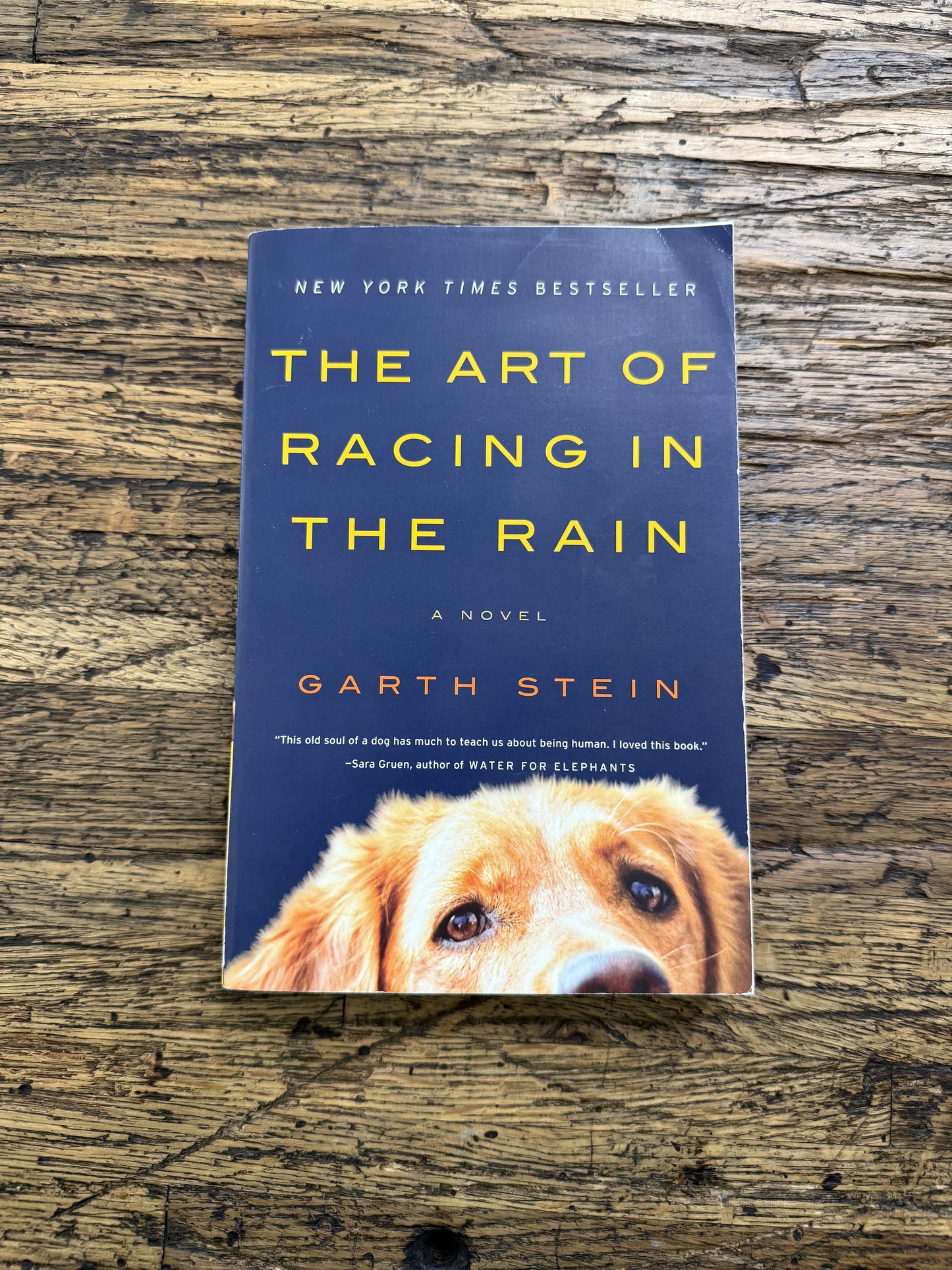 The Art of Racing in the Rain -used