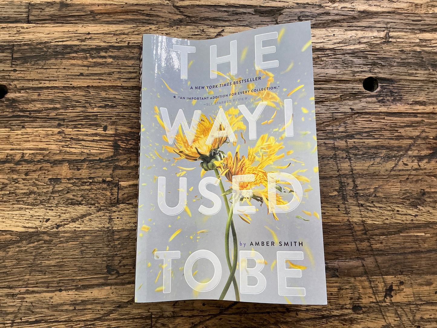 The Way I Used to Be - Used