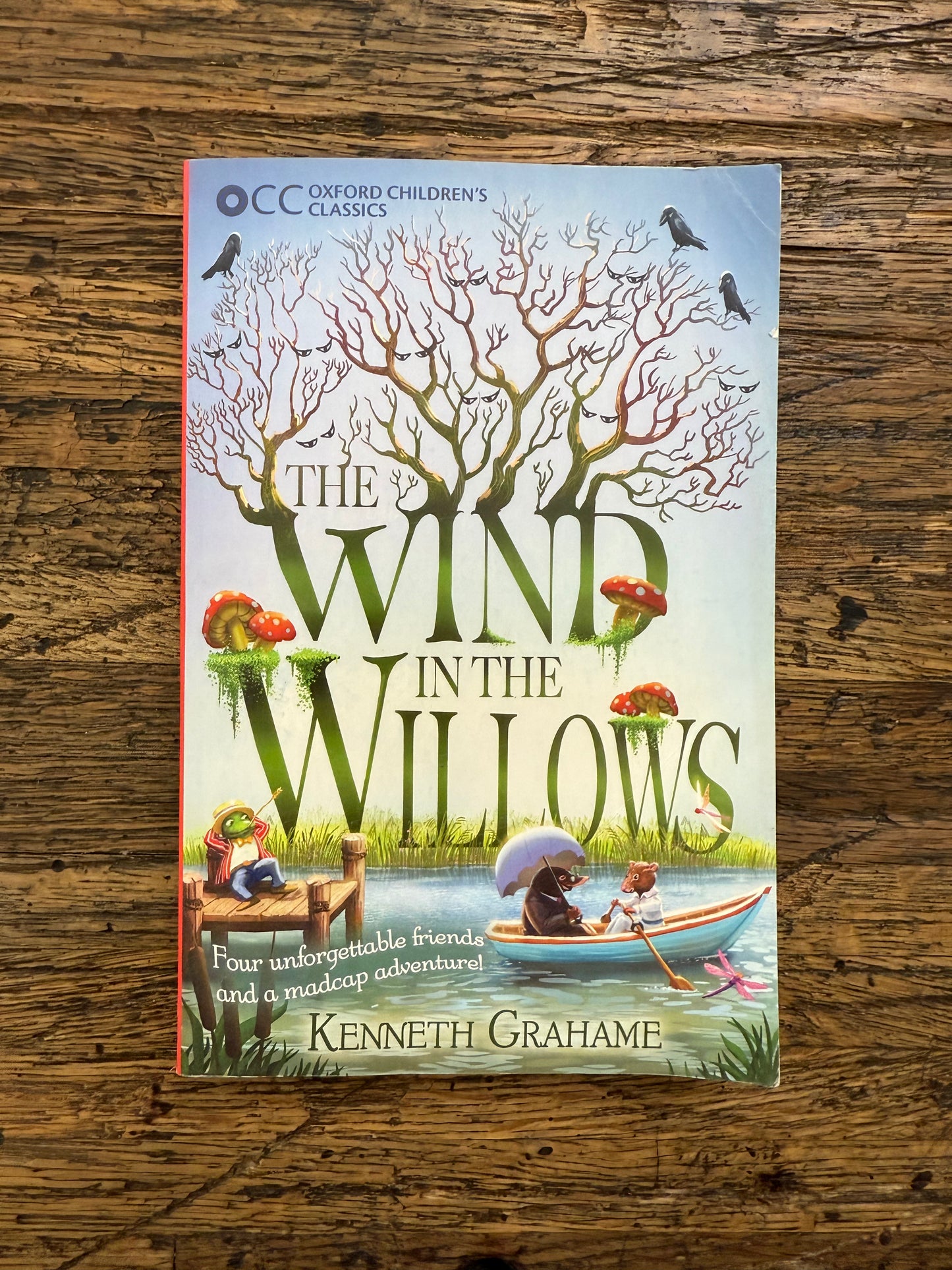 The Wind In The Willows -used