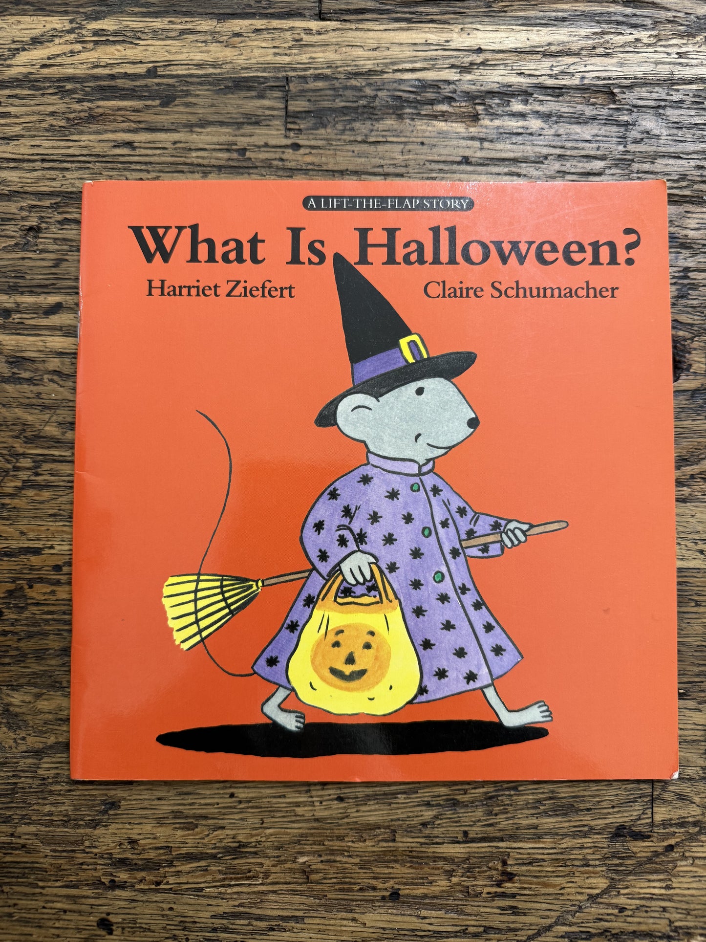 What Is Halloween? -PB,used