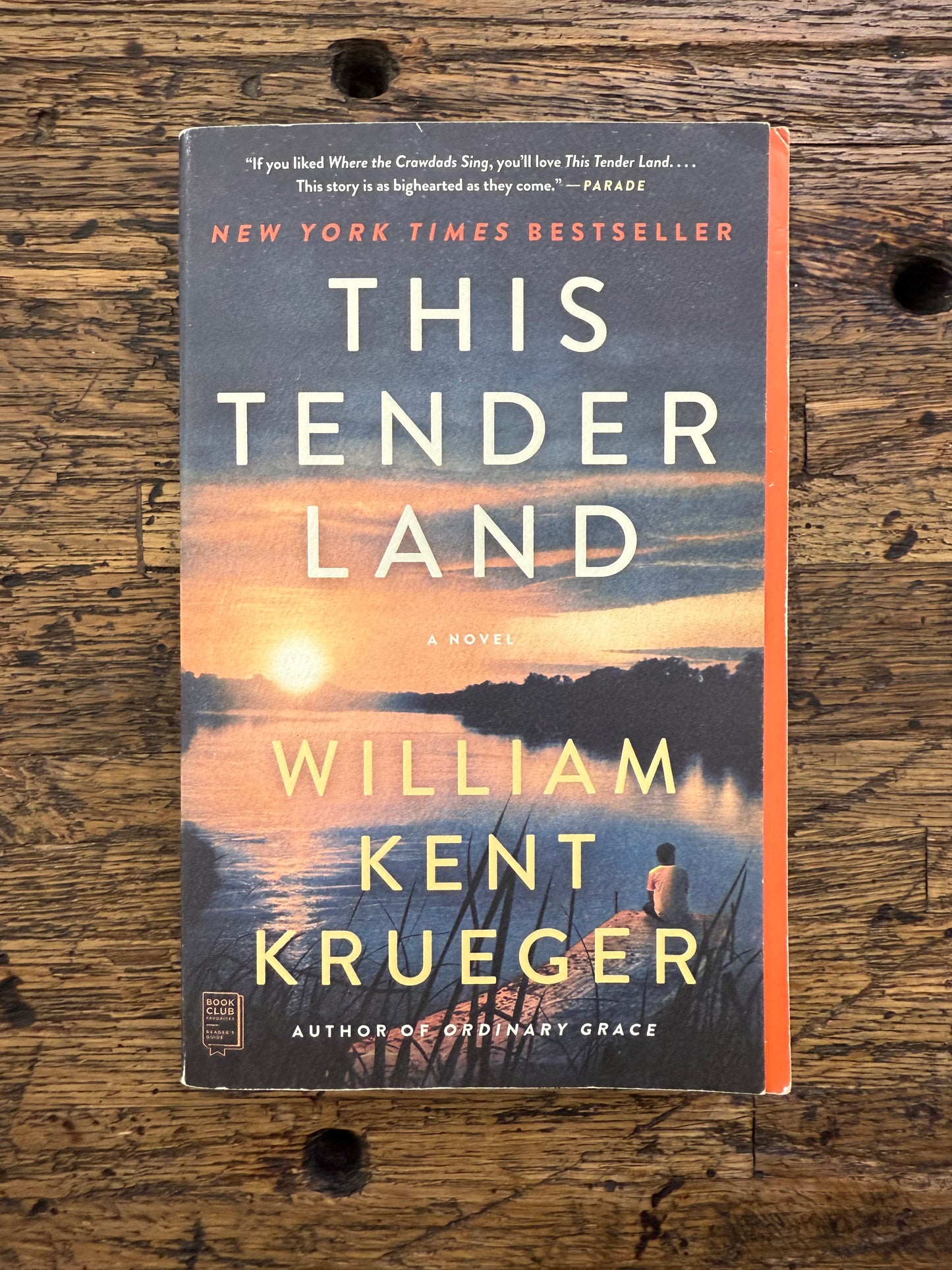 Used - This Tender Land