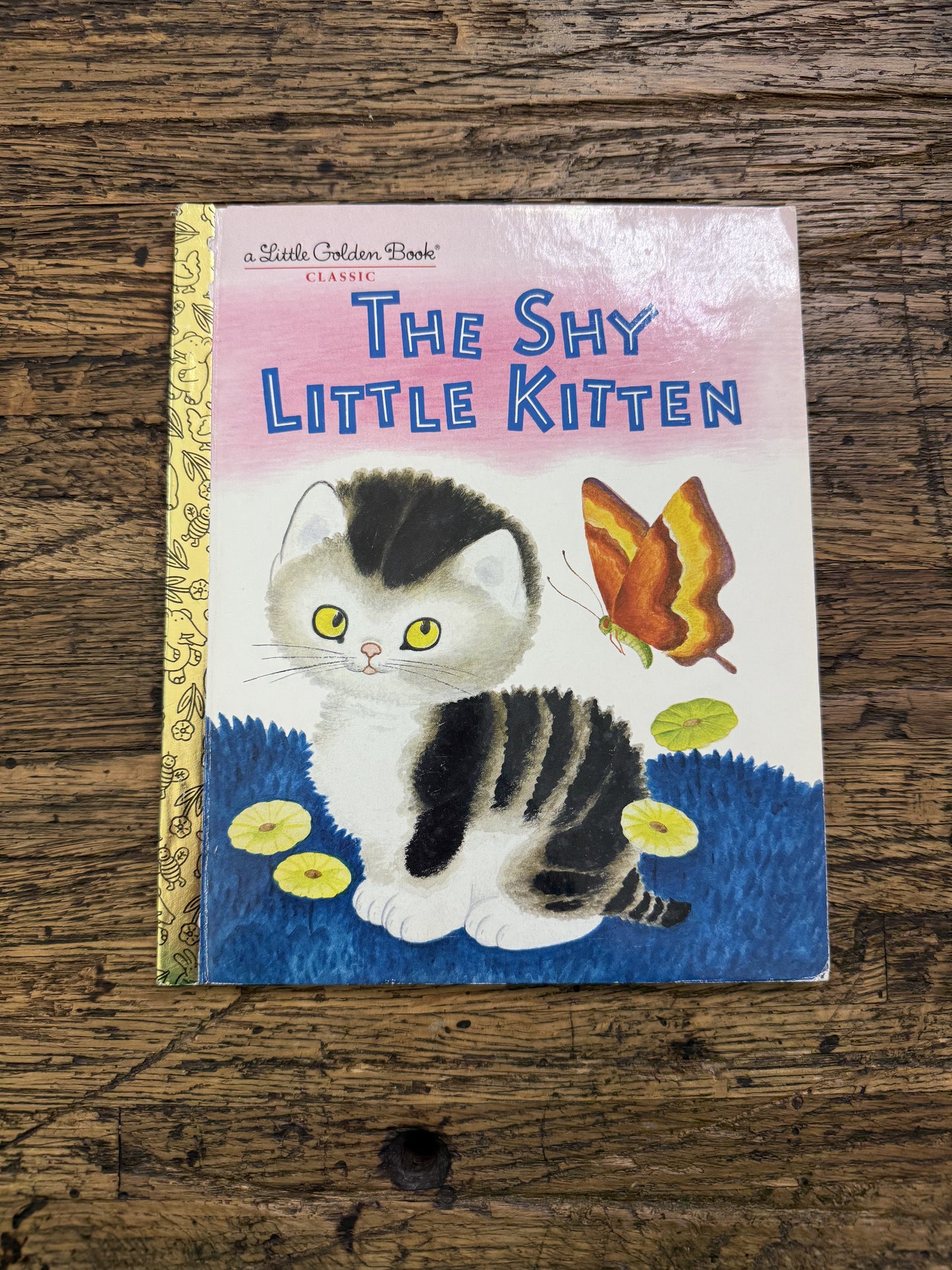 The Shy Little Kitten -FR,used
