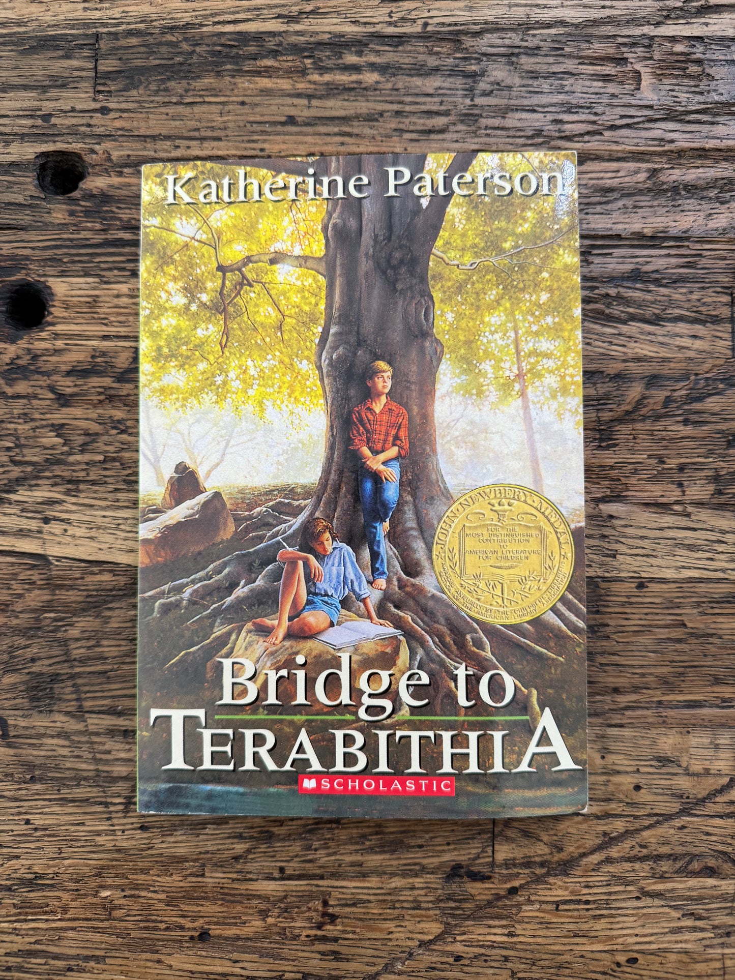 Bridge to Terabithia -mg,used