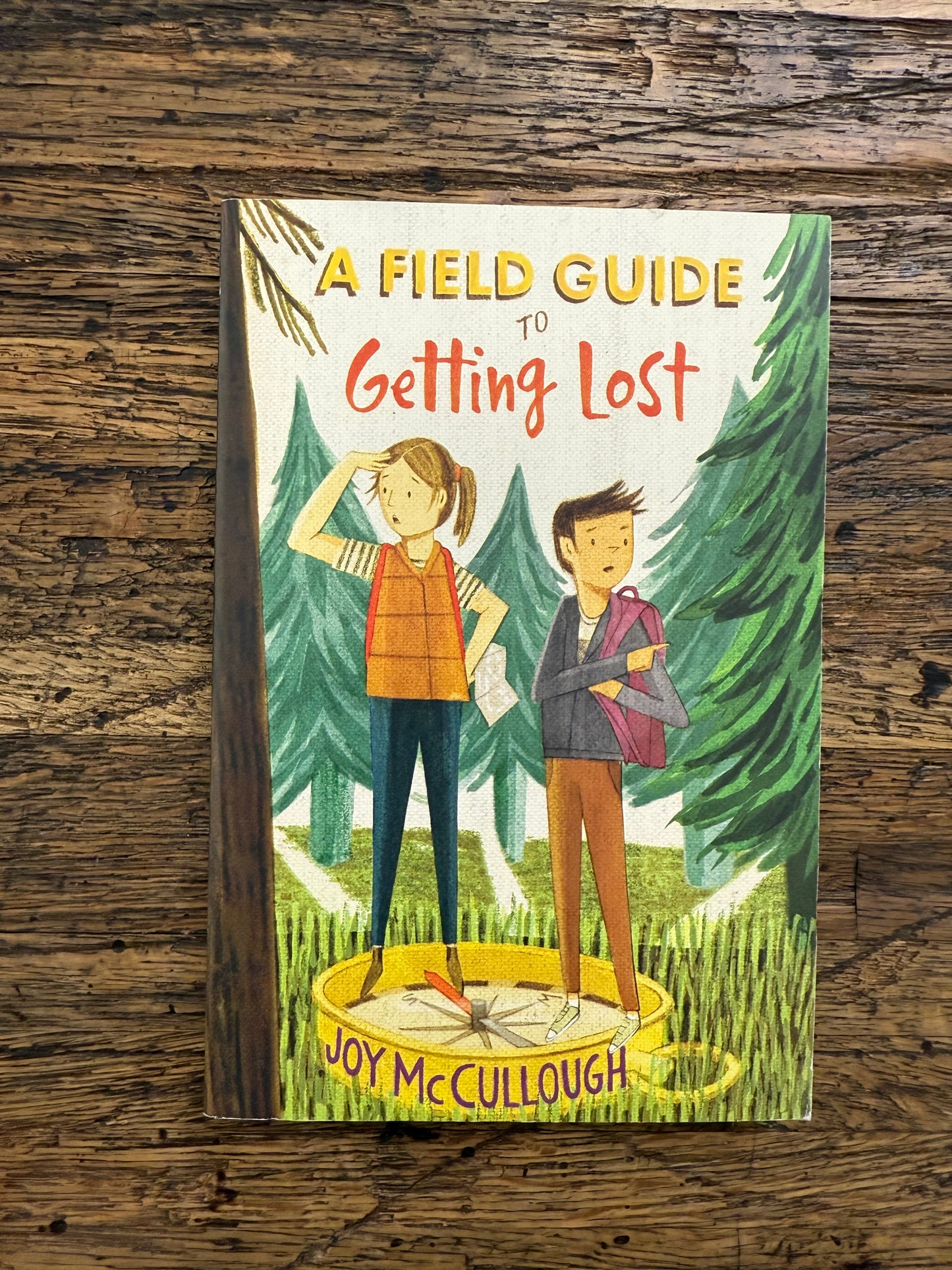 A Field Guide to Getting Lost -used