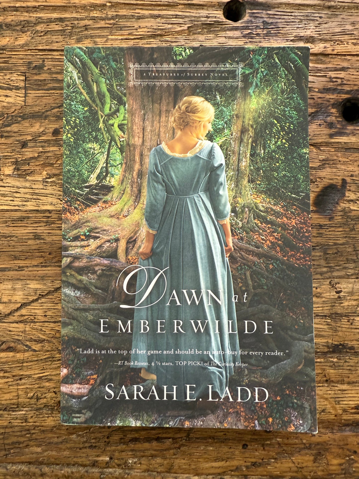 Dawn At Emberwilde -used