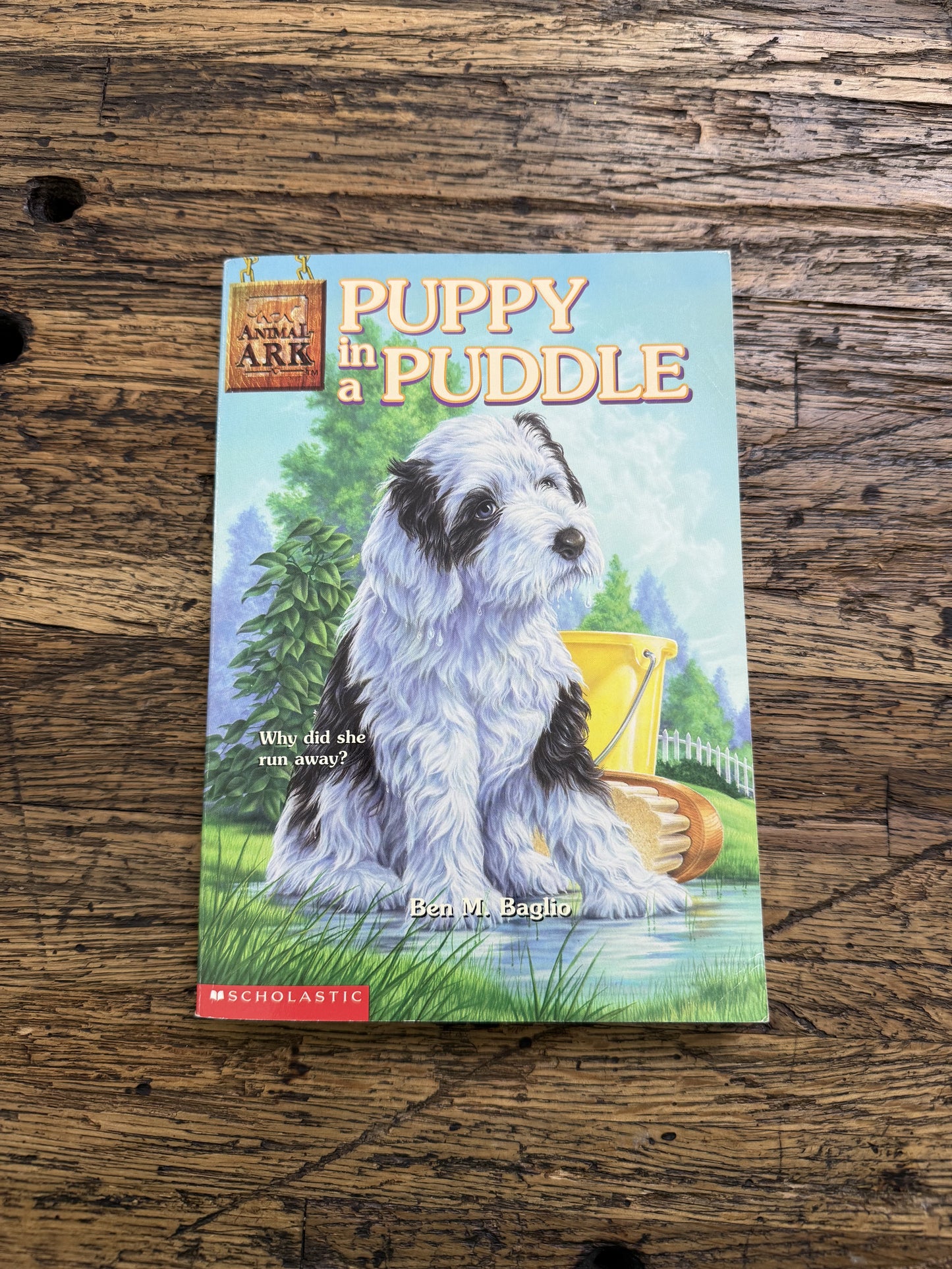Puppy in a Puddle -MG,used