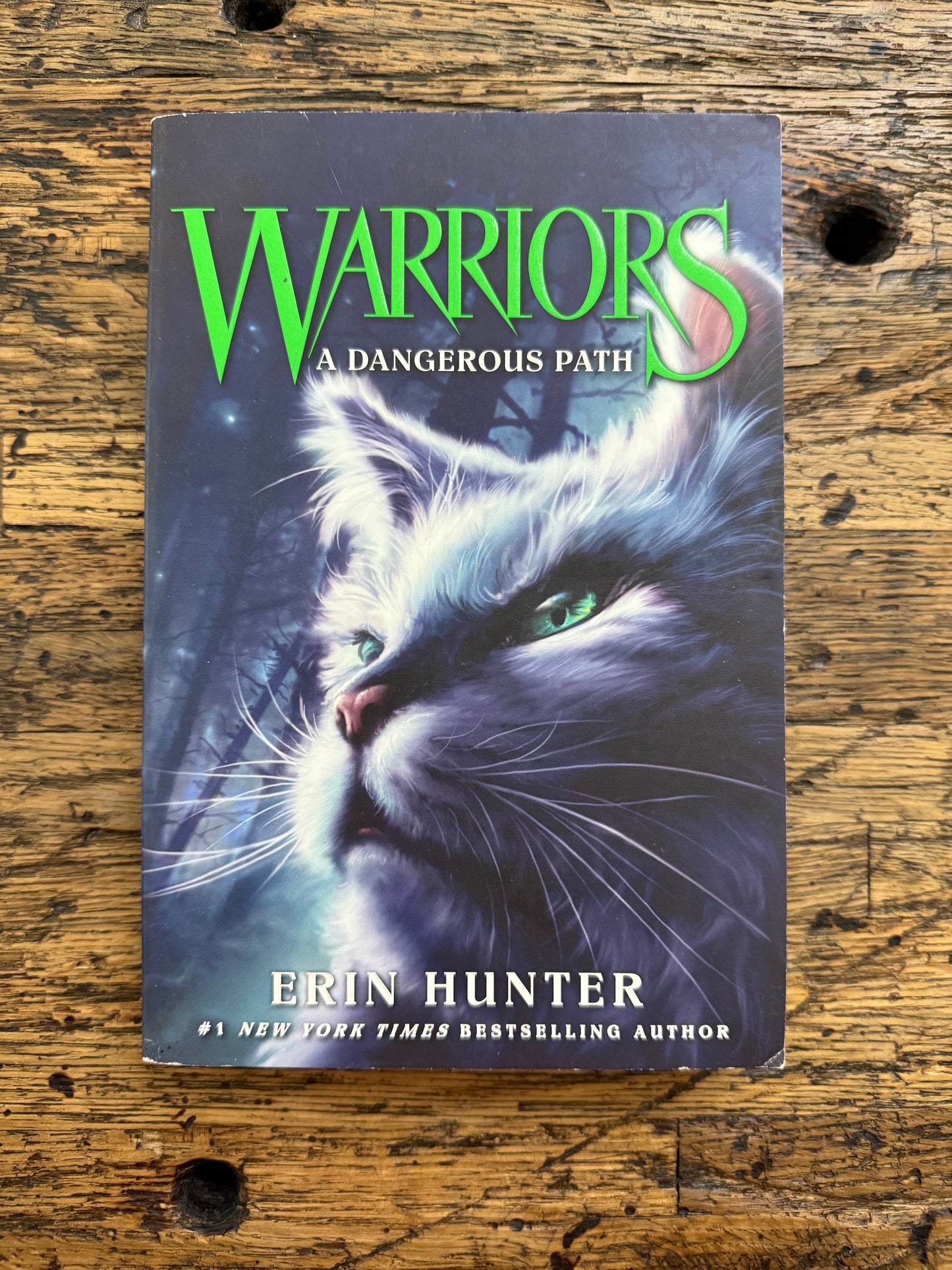 Warriors: A Dangerous Path -mg,used
