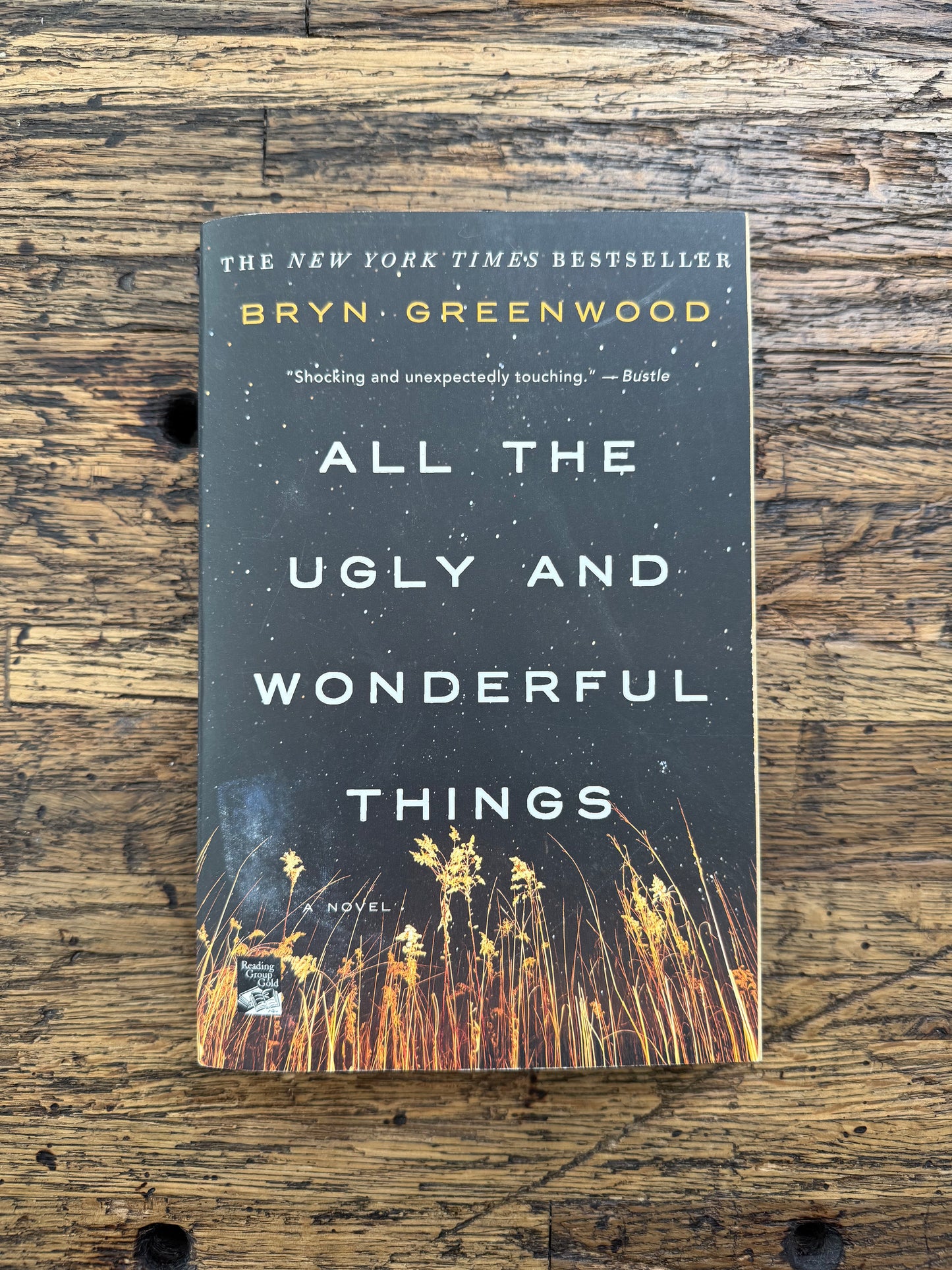 All The Ugly And Wonderful Things -used