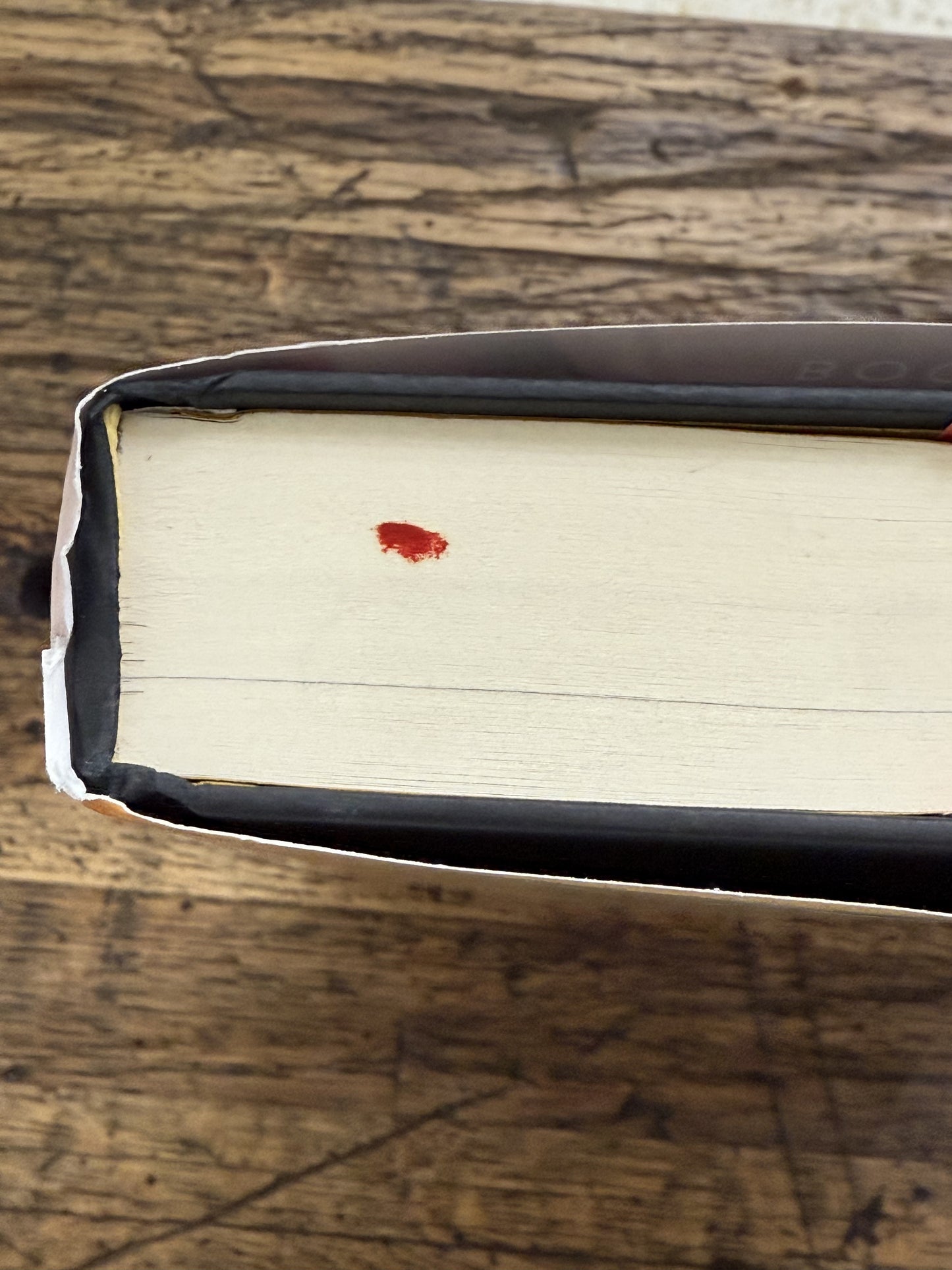 Defiant (Skyward) -YA, Remainder