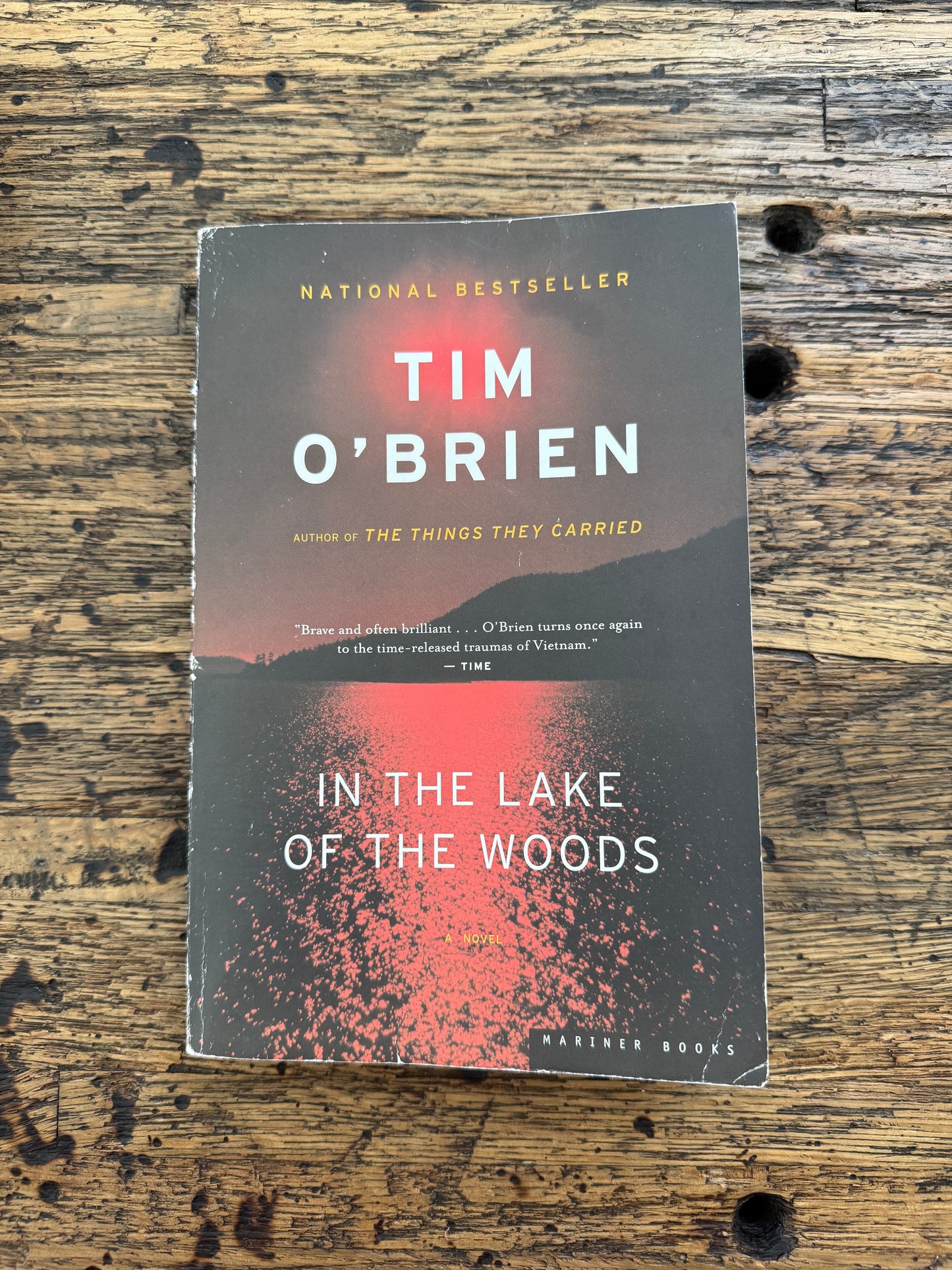 In The Lake Of The Woods -used