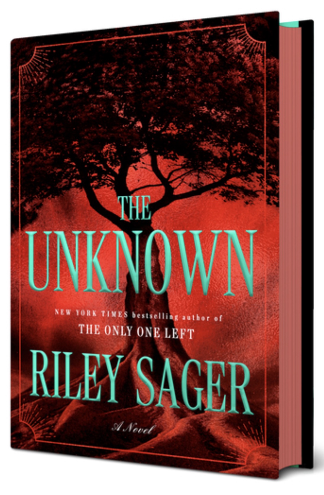The Unknown