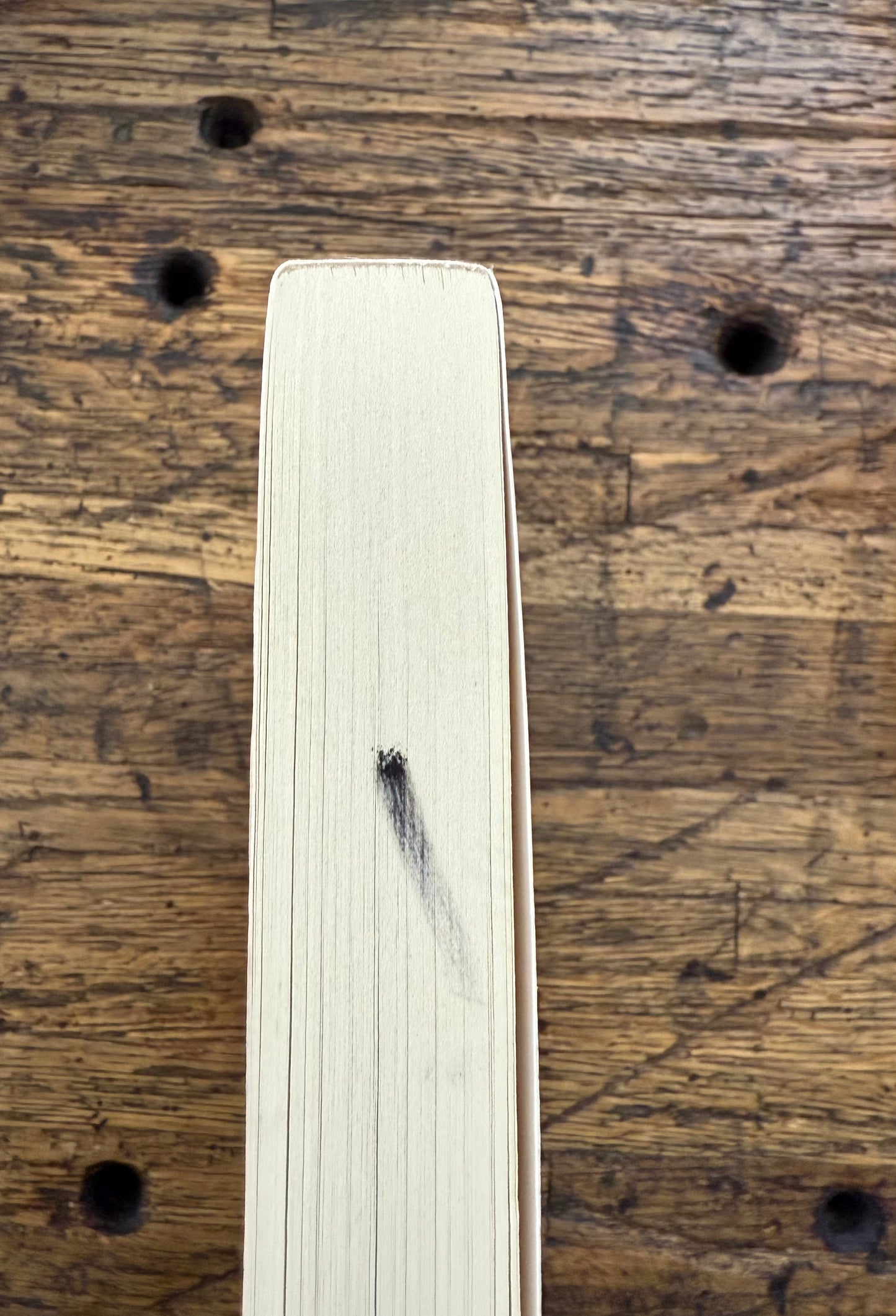 Roll Of Thunder, Hear My Cry -remainder