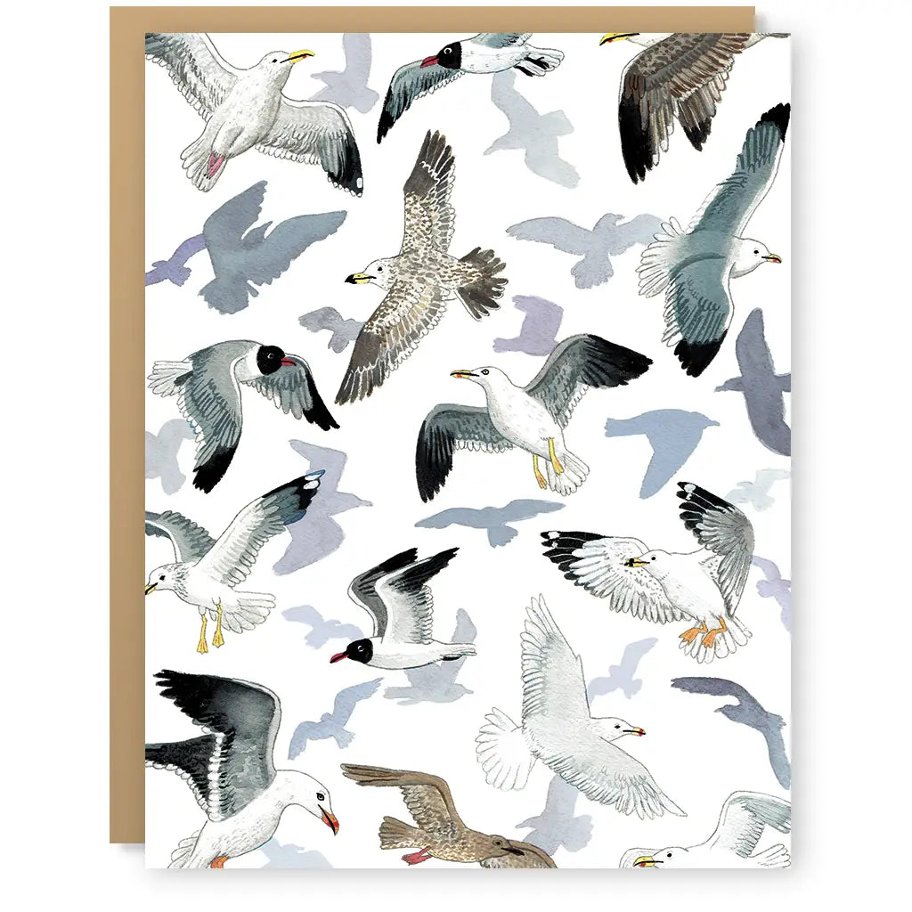 PM - Seagulls Card