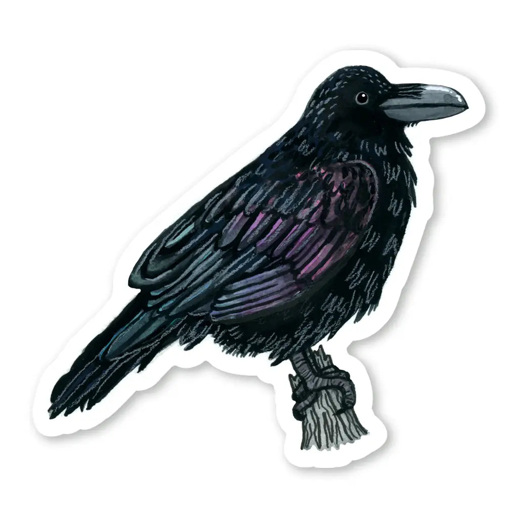 PM -Raven Sticker