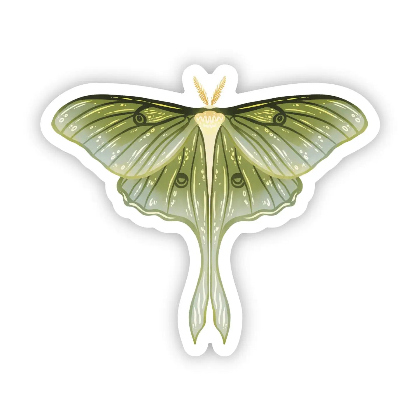 BM - Moth Sticker (Green)