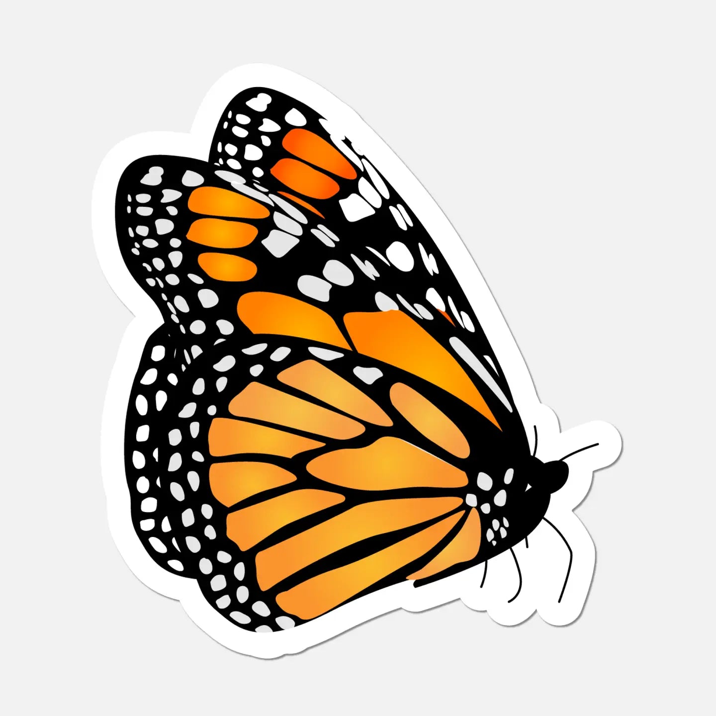 FN - Monarch Side Profile Butterfly Sticker
