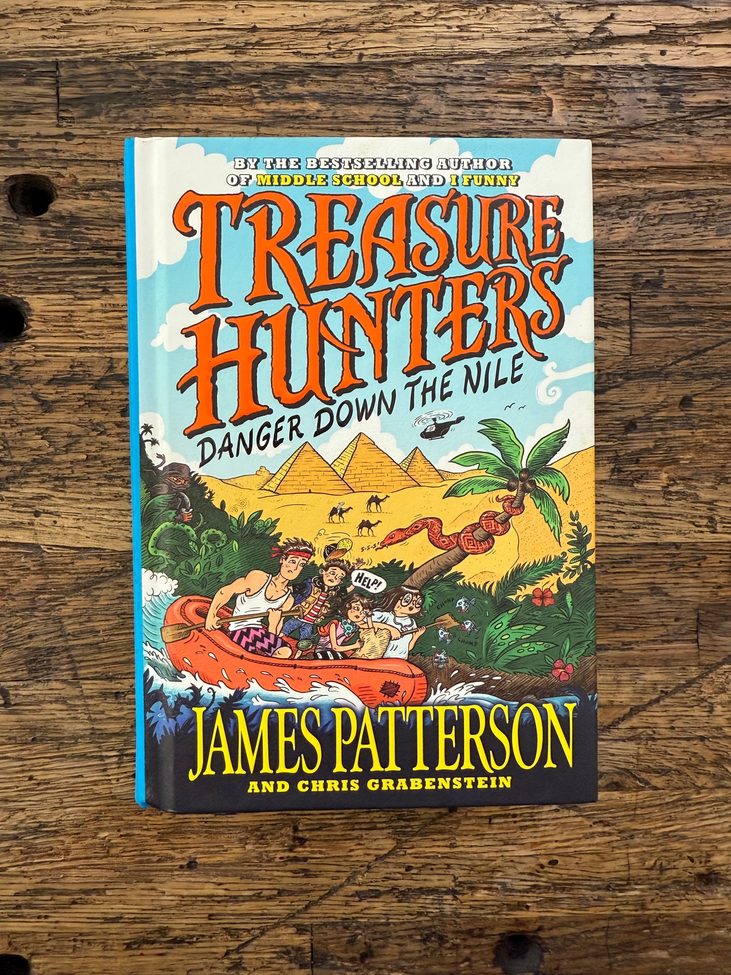 Used - Danger Down The Nile