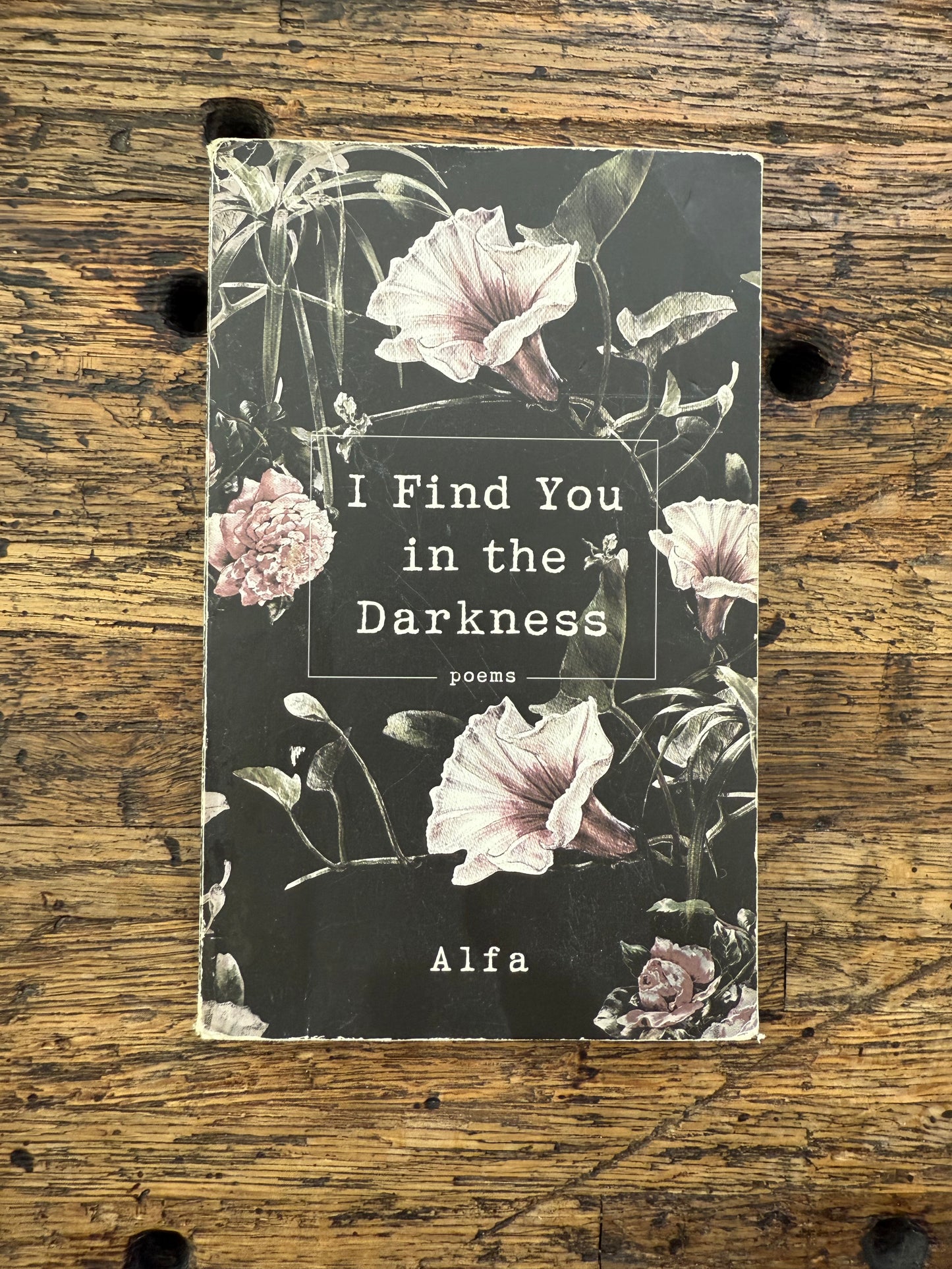 Used - I Find You In The Darkness