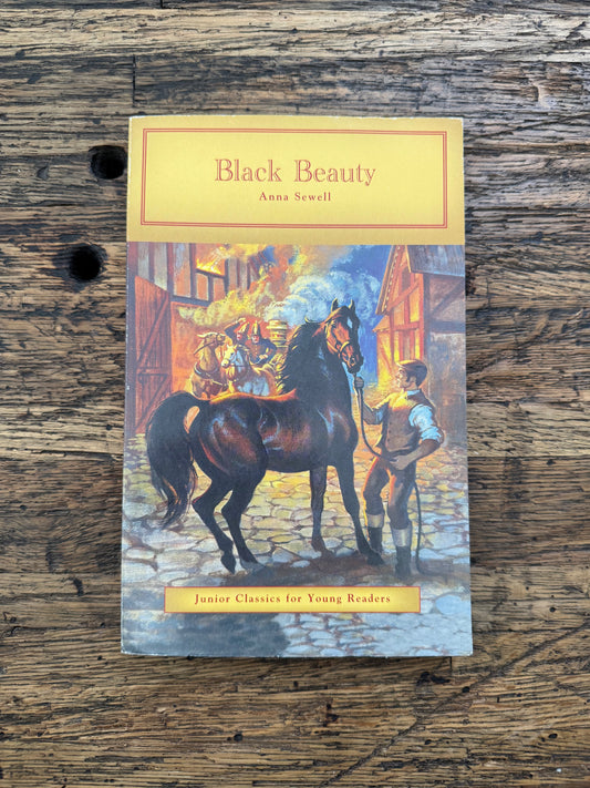 Used - Black Beauty