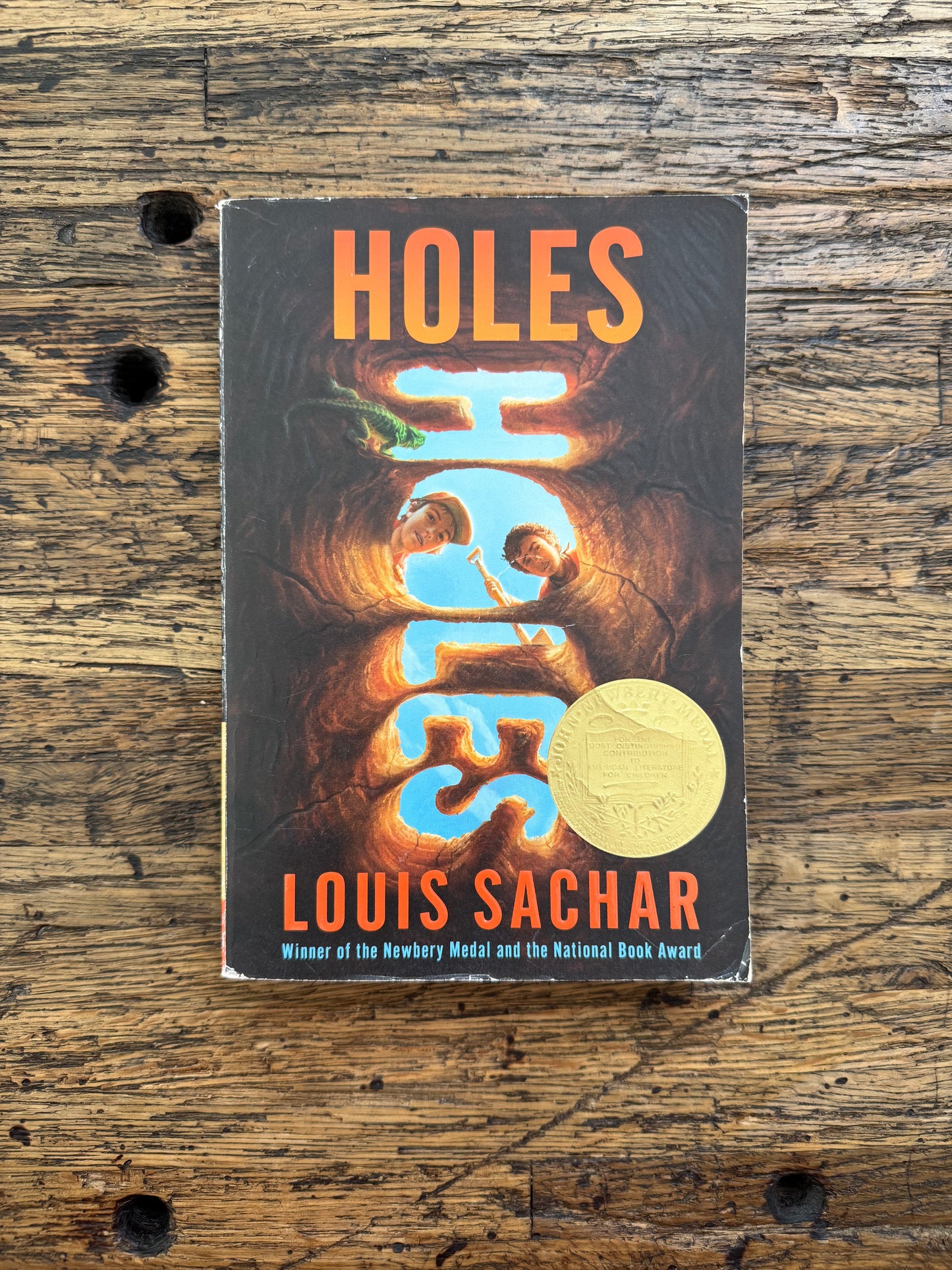 Used - Holes