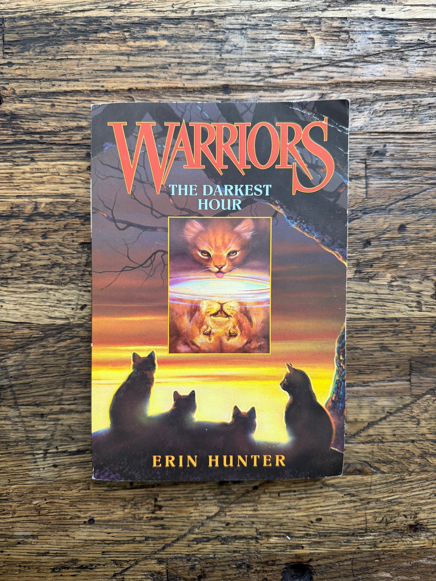 Used - Warriors: The Darkest Hour