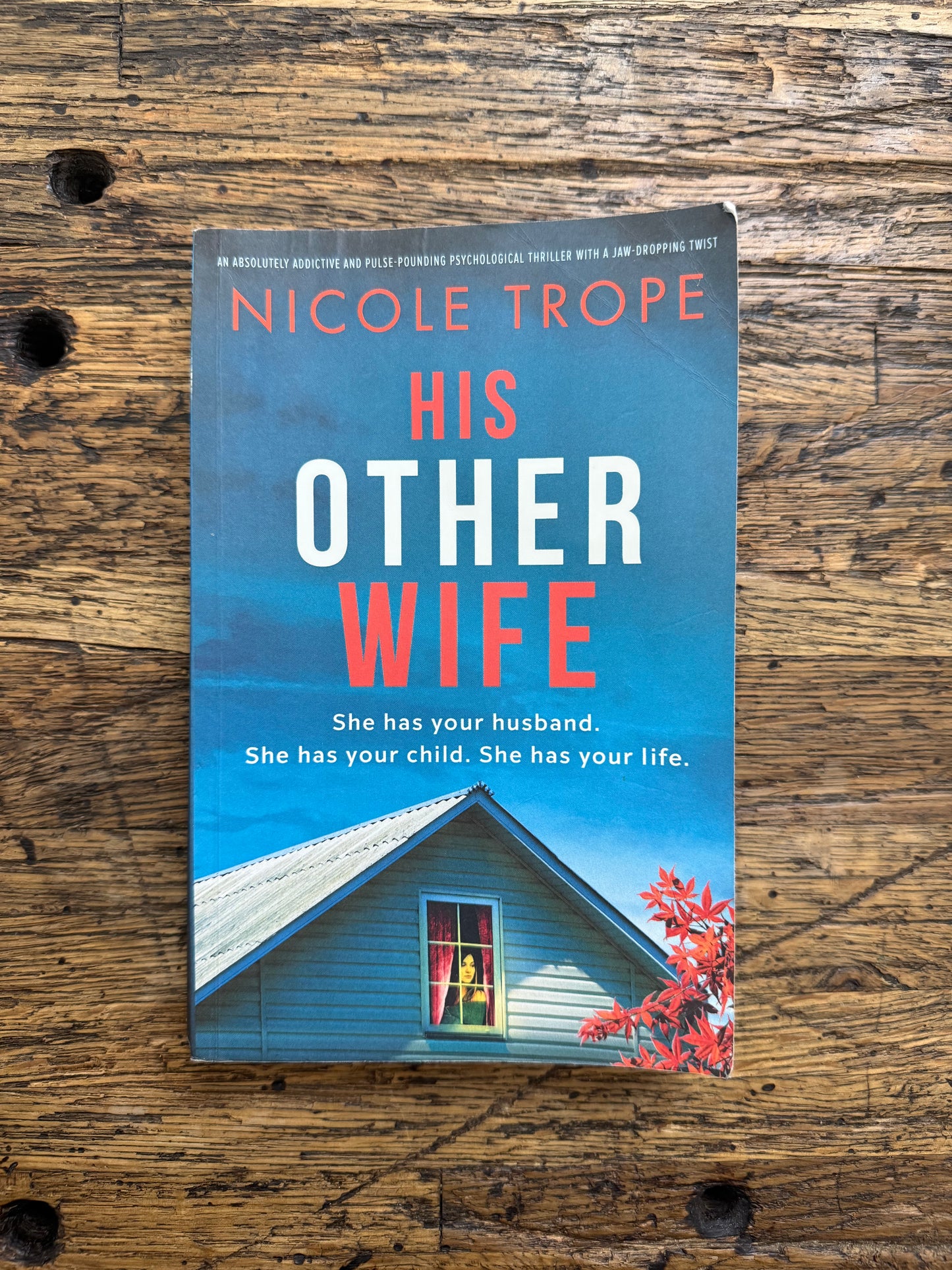 Used - His Other Wife