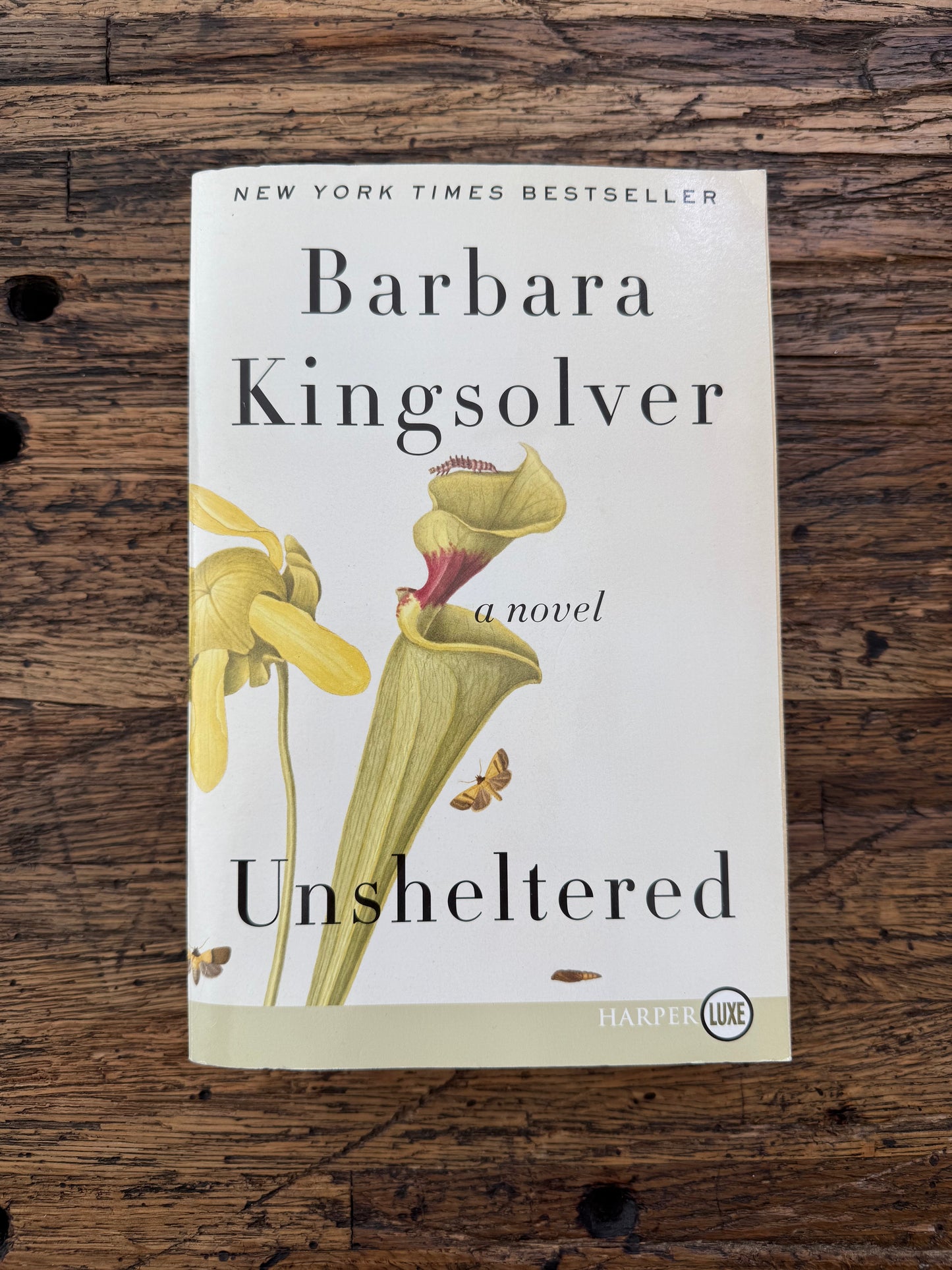 Used - Unsheltered LP