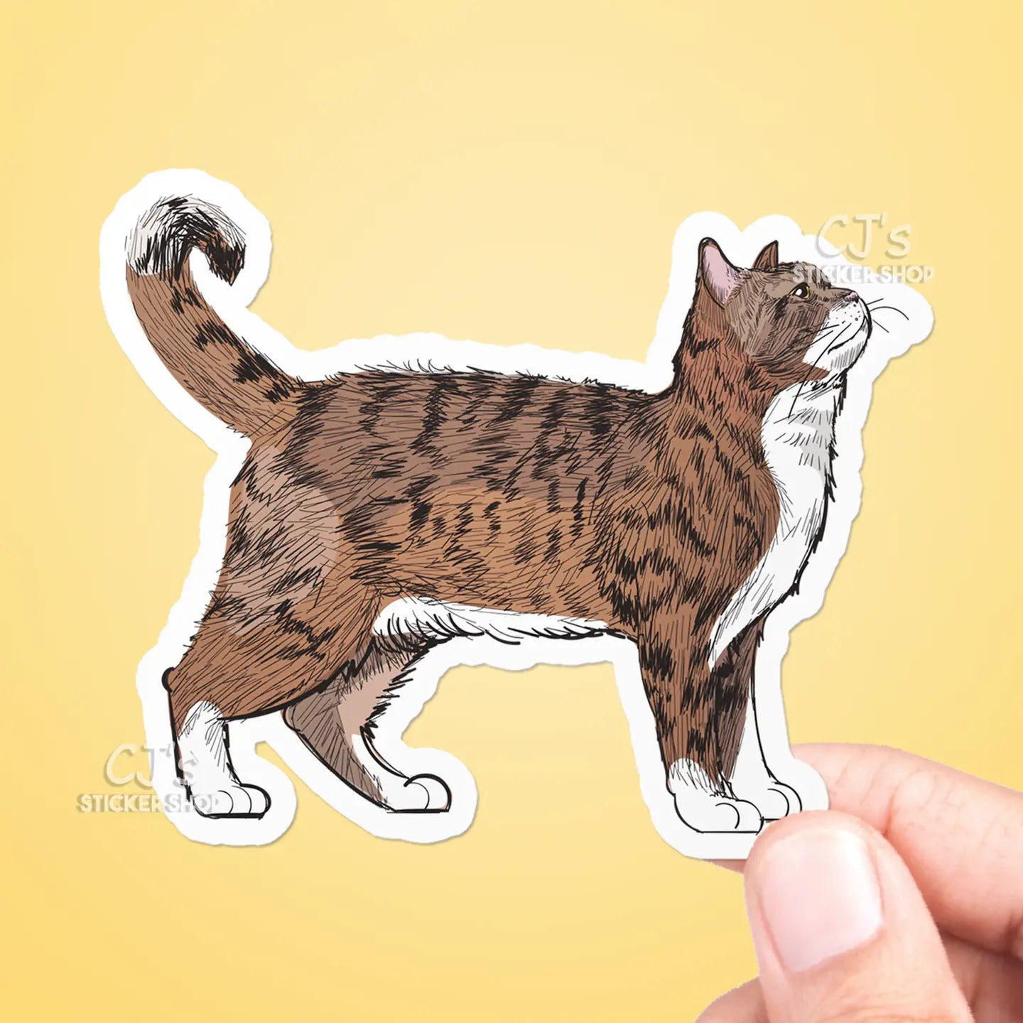 CJ - Cat Drawing Sticker
