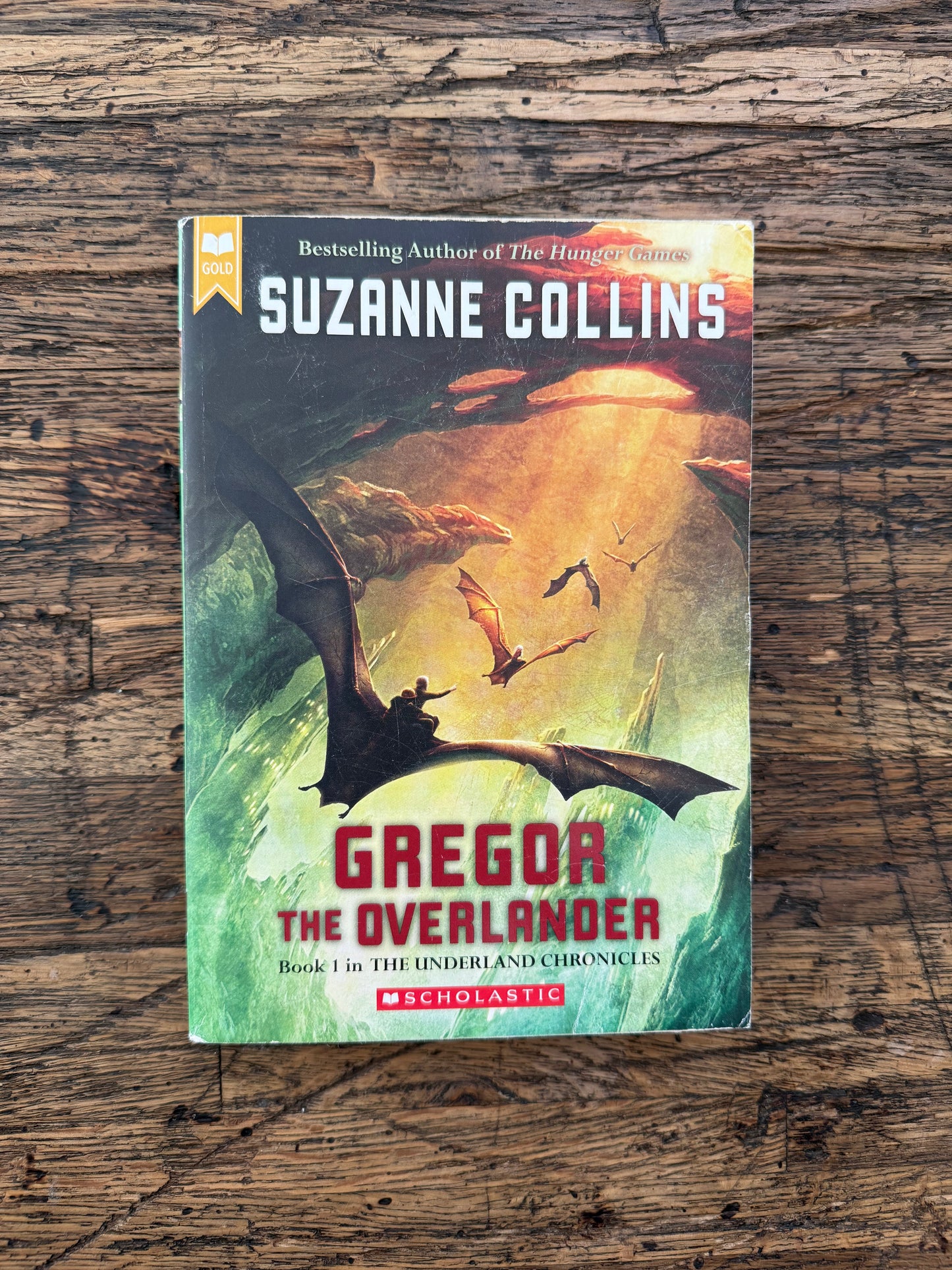 Used - Gregor The Overlander