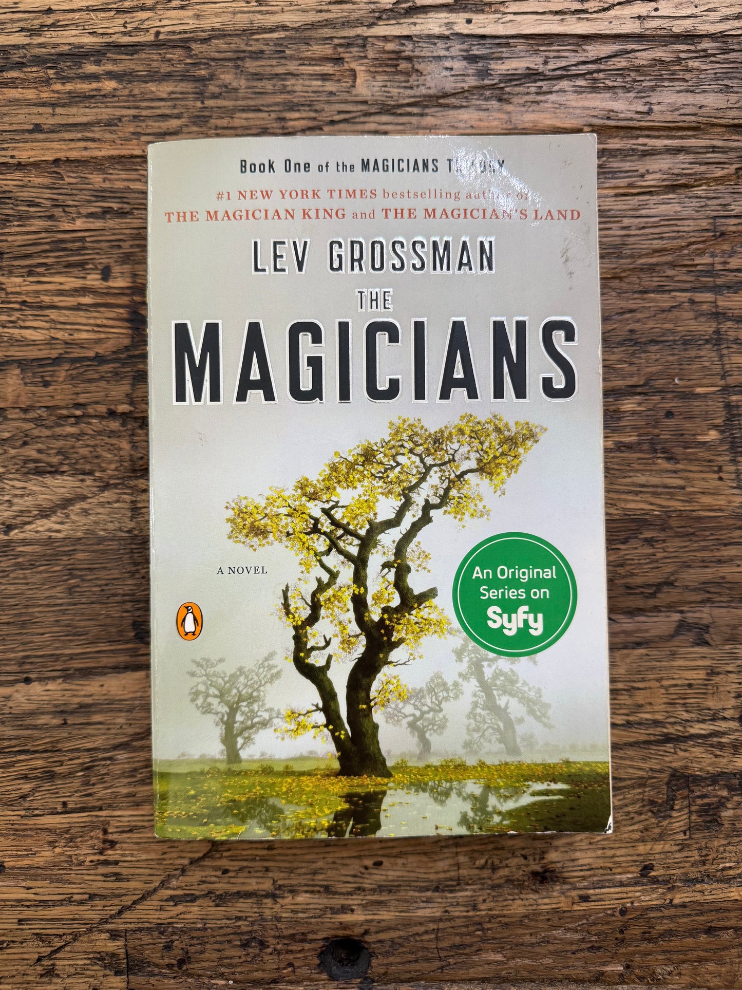 Used - The Magicians