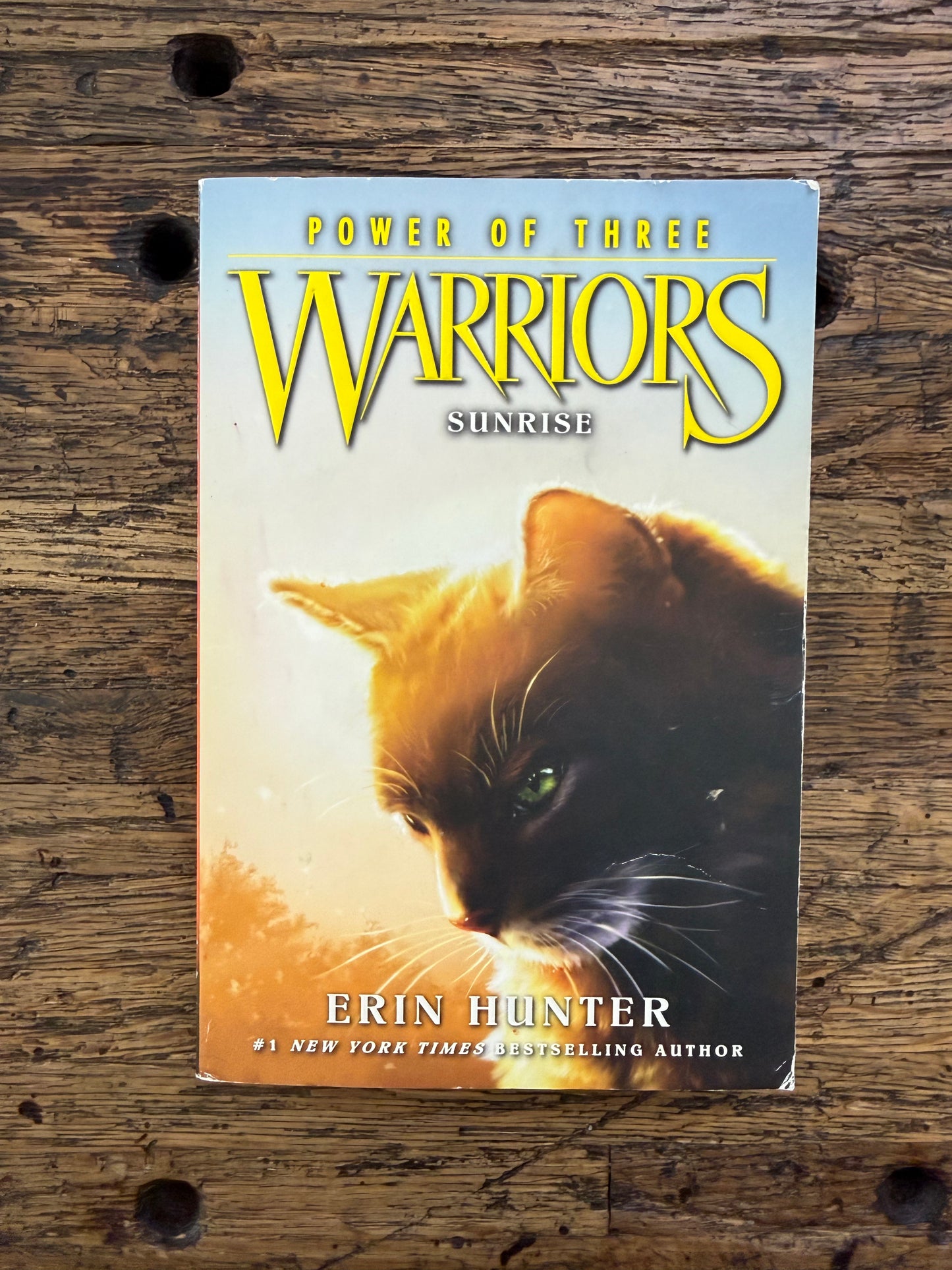 Used - Warriors: Sunrise