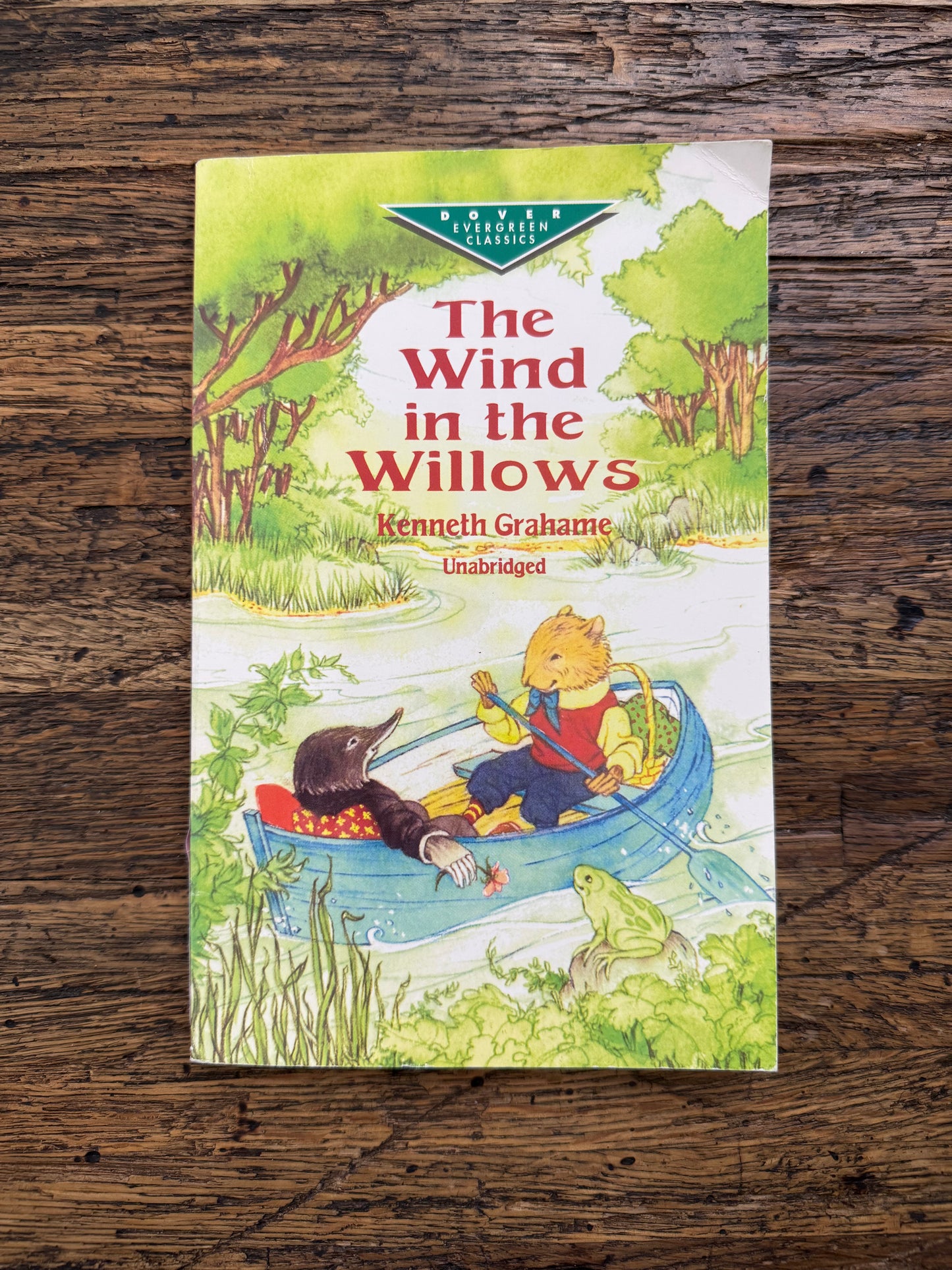 Used - The Wind In The Willow