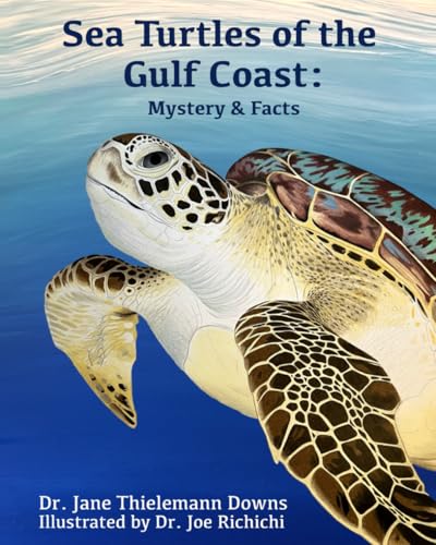 Sea Turtles Of The Gulf Coast: Mystery & Facts