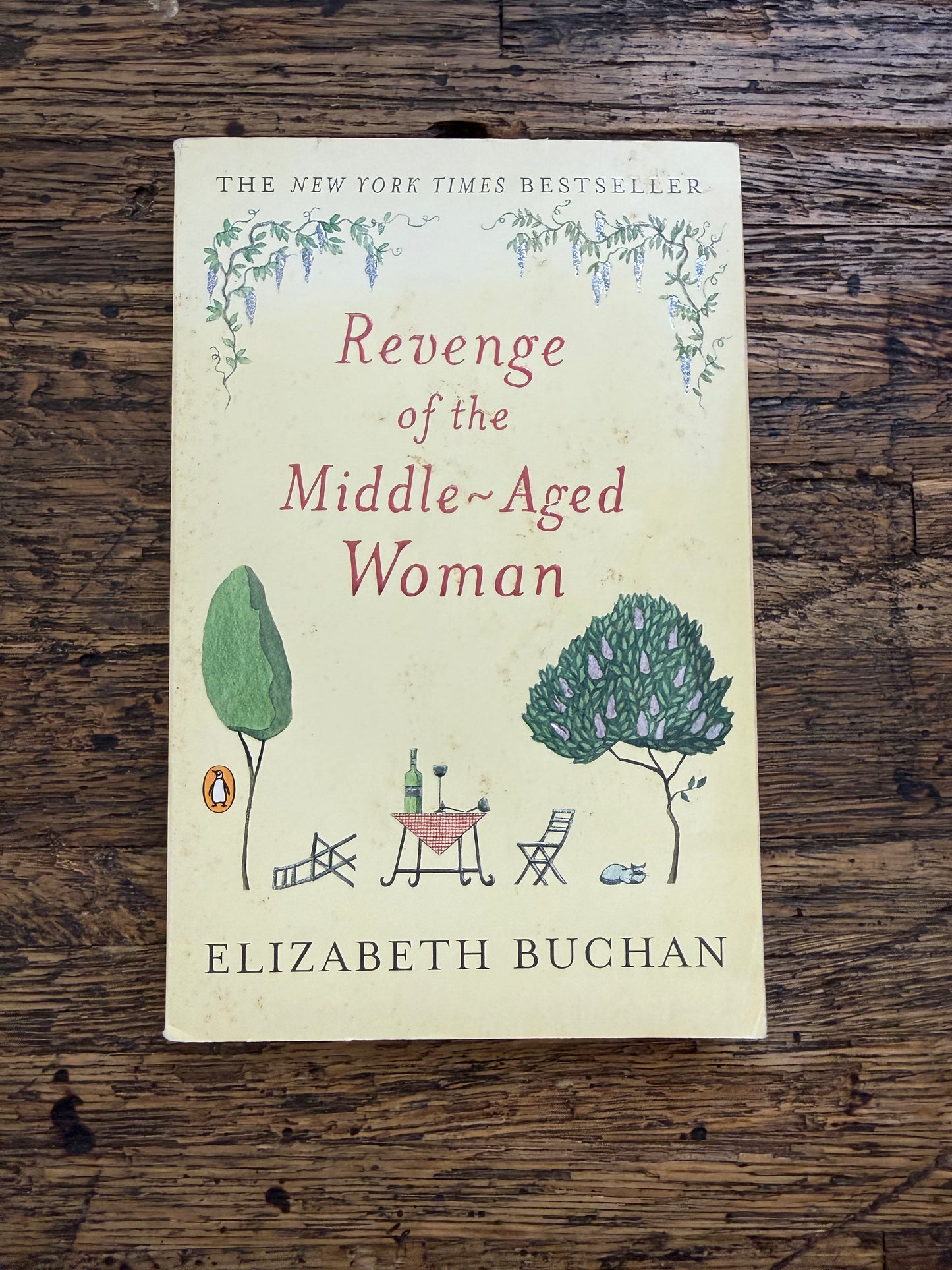 Used - Revenge of the Middle Aged Woman