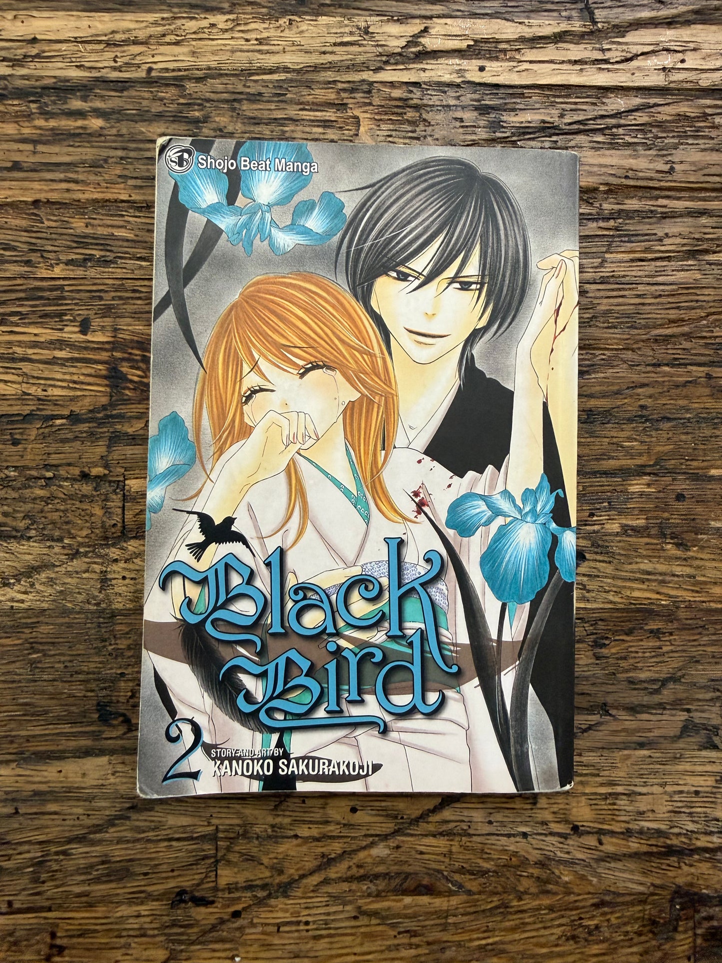 Used - Black Bird, Vol. 2