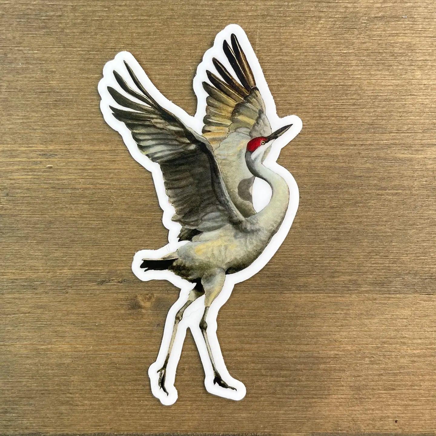 ARMI - Sandhill Crane Vinyl Sticker