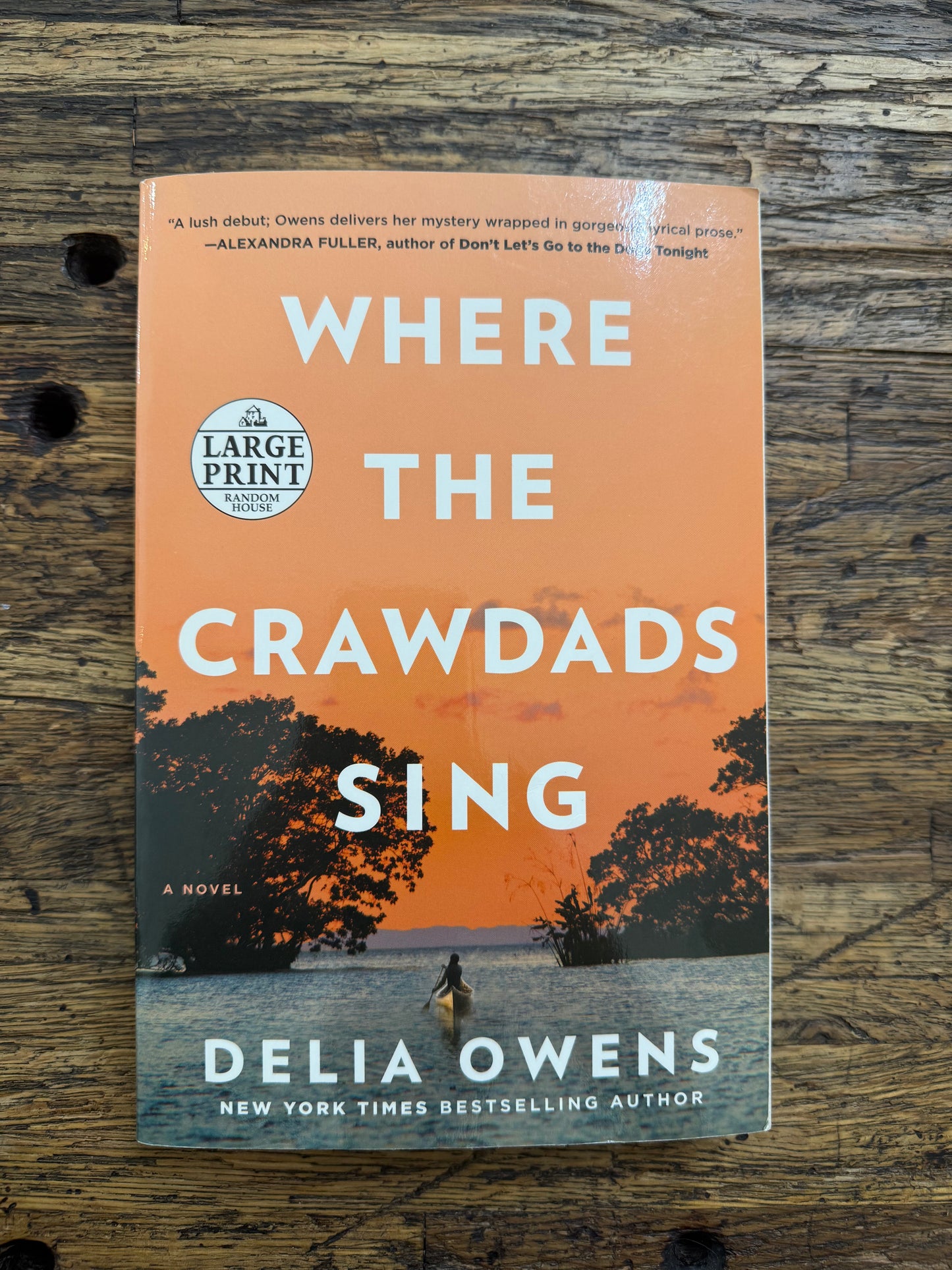 Used - Where The Crawdads Sing - LP
