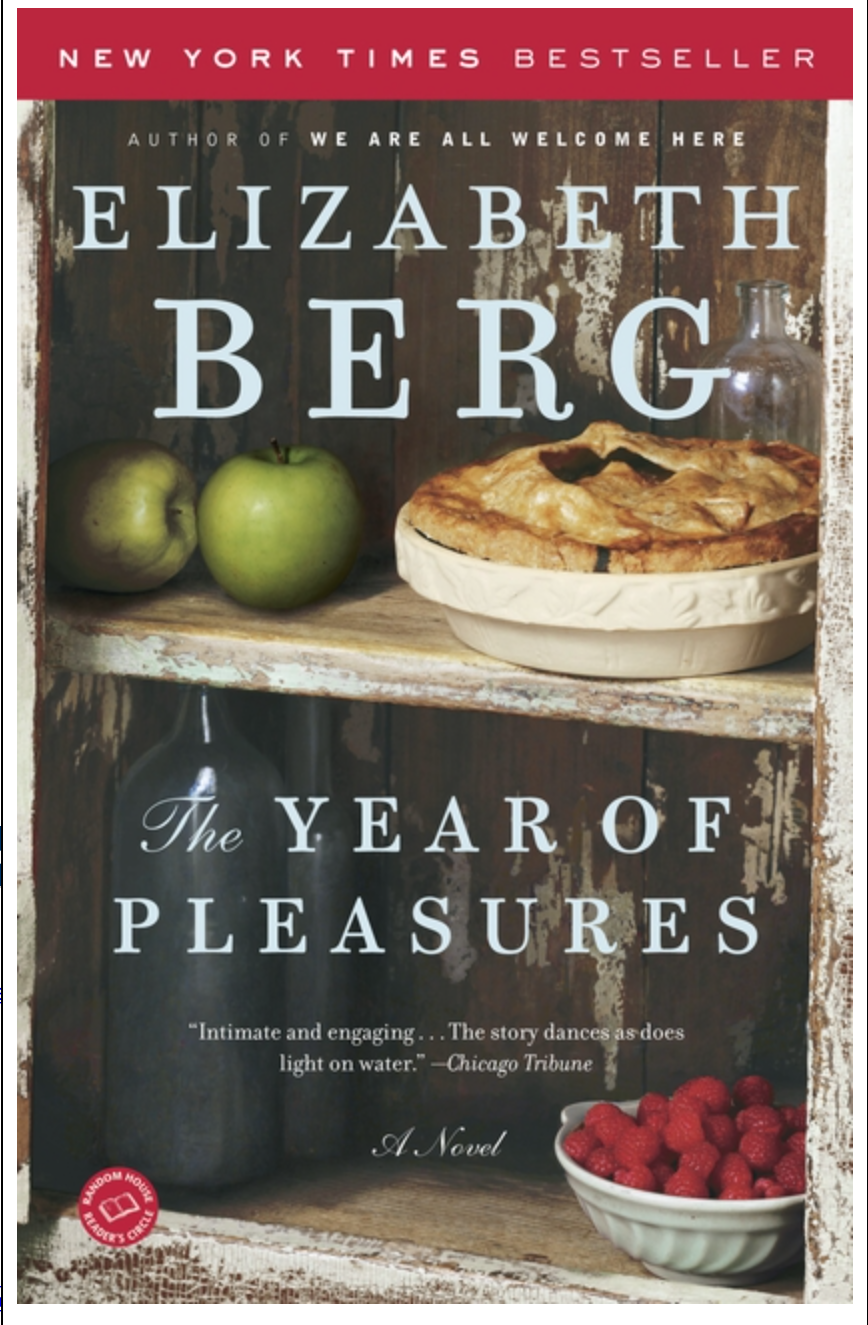 The Year of Pleasures -used