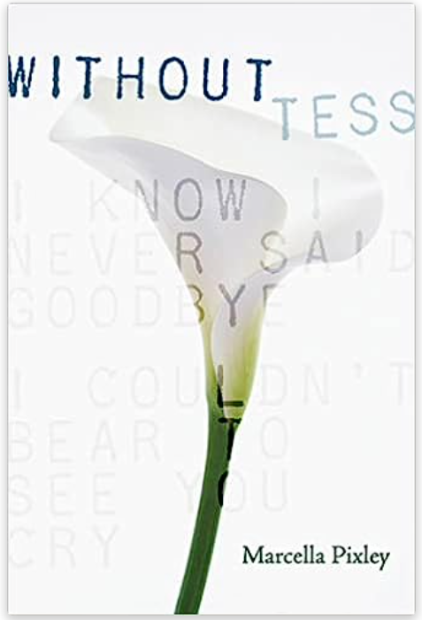 Without Tess - YA,used