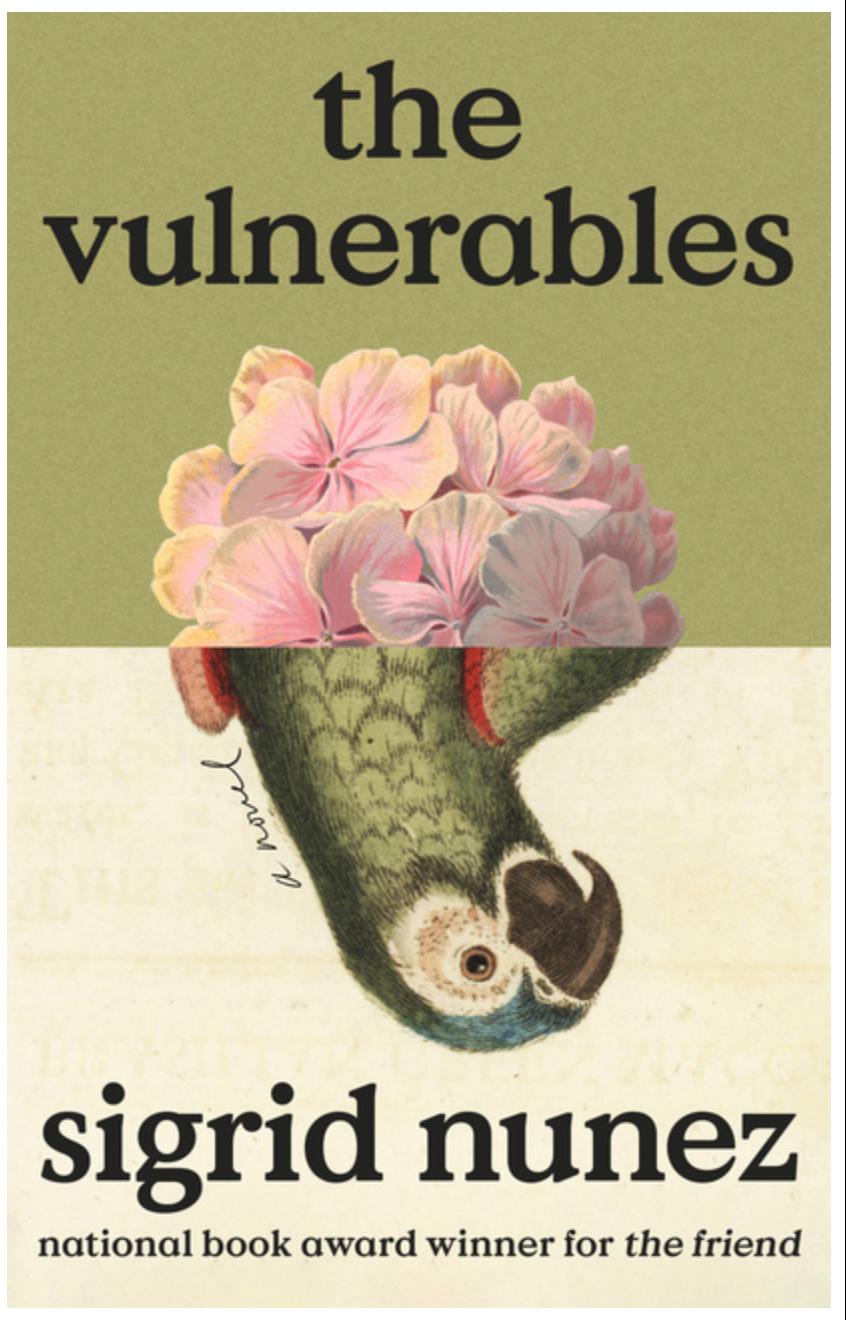 The Vulnerables