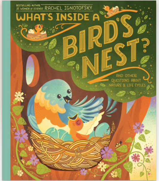 What's Inside a Bird's Nest