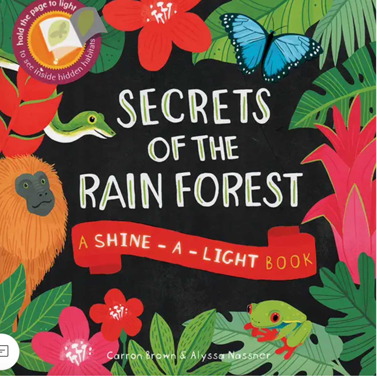 Secrets of the Rain Forest
