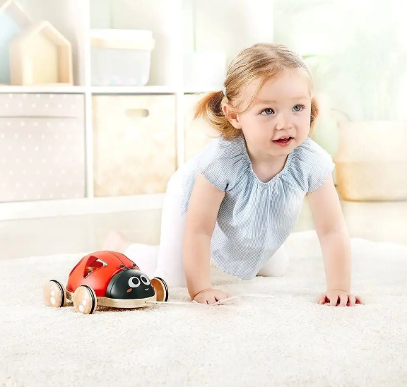 Hape - Shape Sorter Ladybug