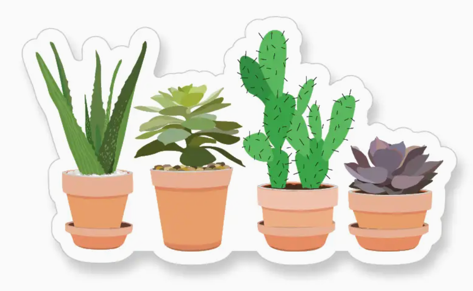 A2 -Succulents sticker